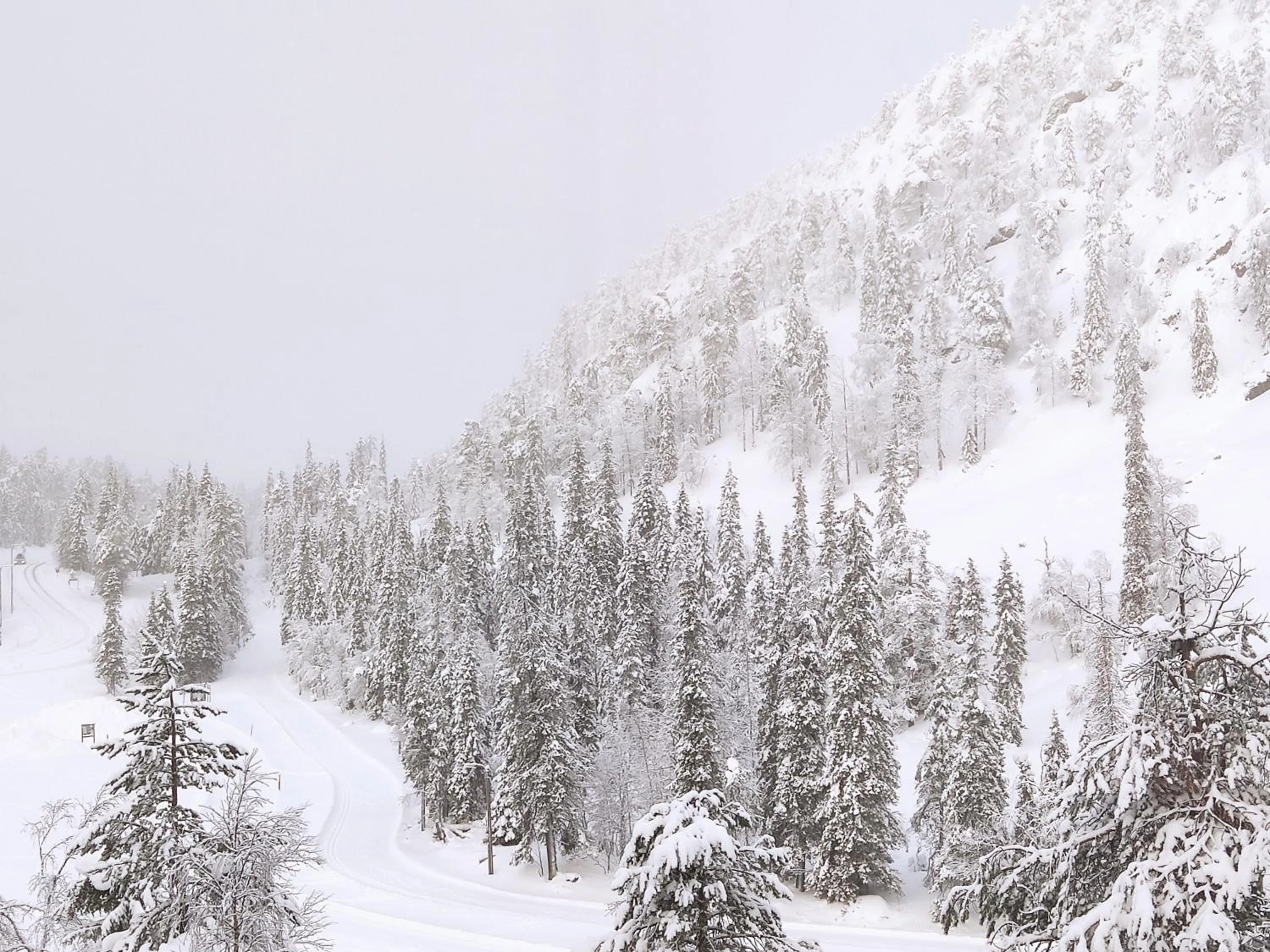 Winter in Hotel Royal Ruka