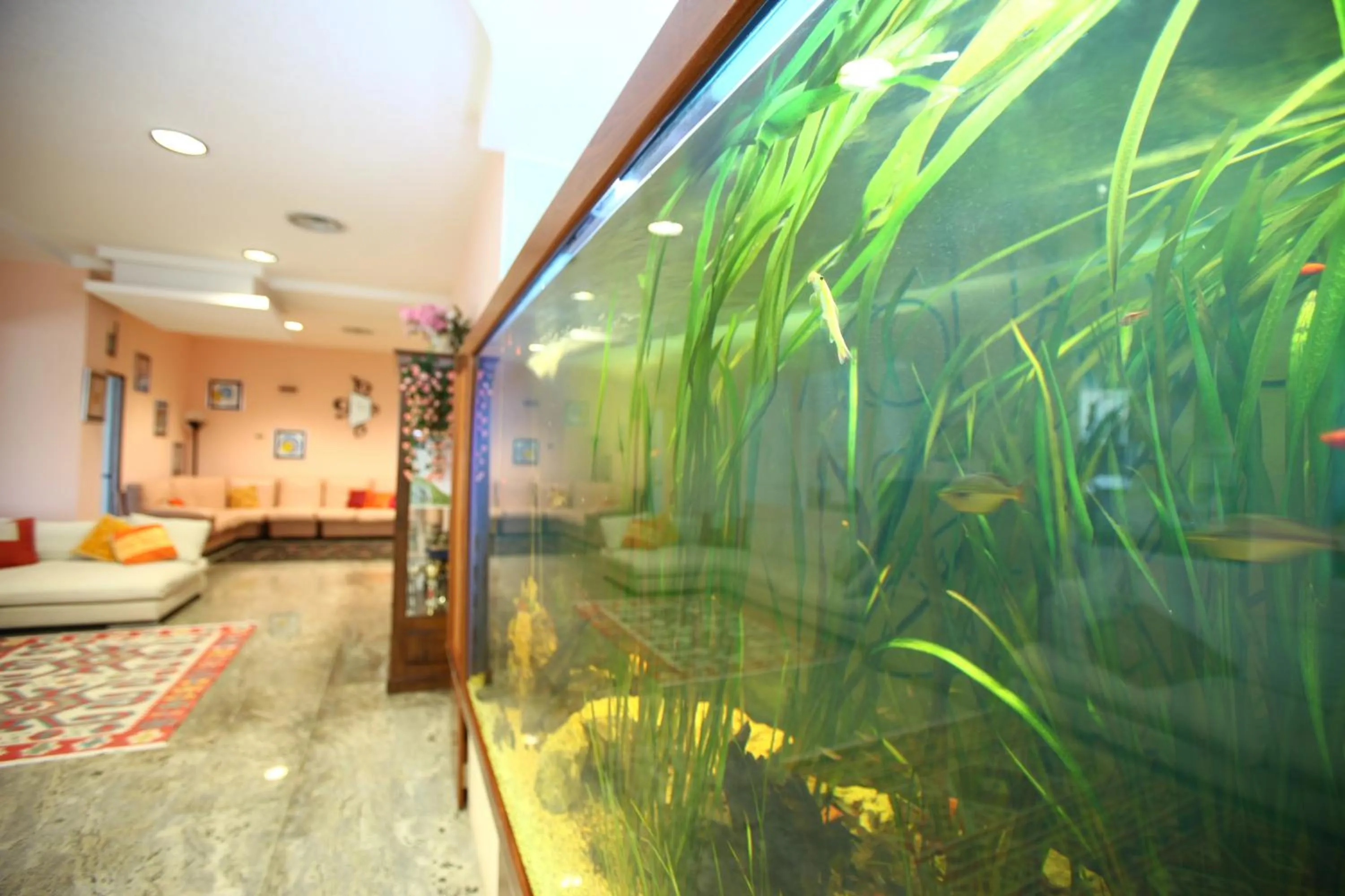 Lobby or reception in Hotel Acquario