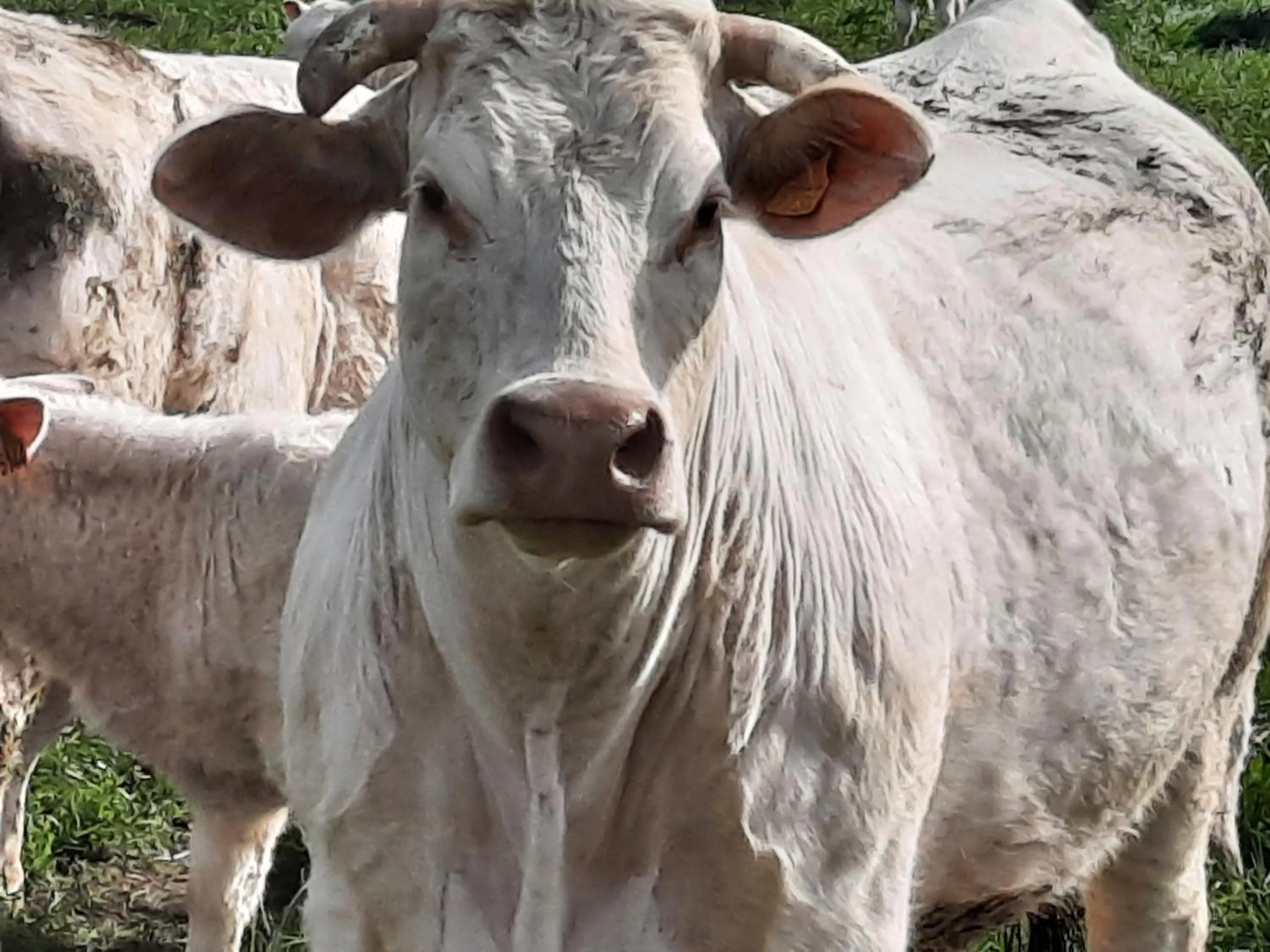 Off site in Hôtel De La Barbacane