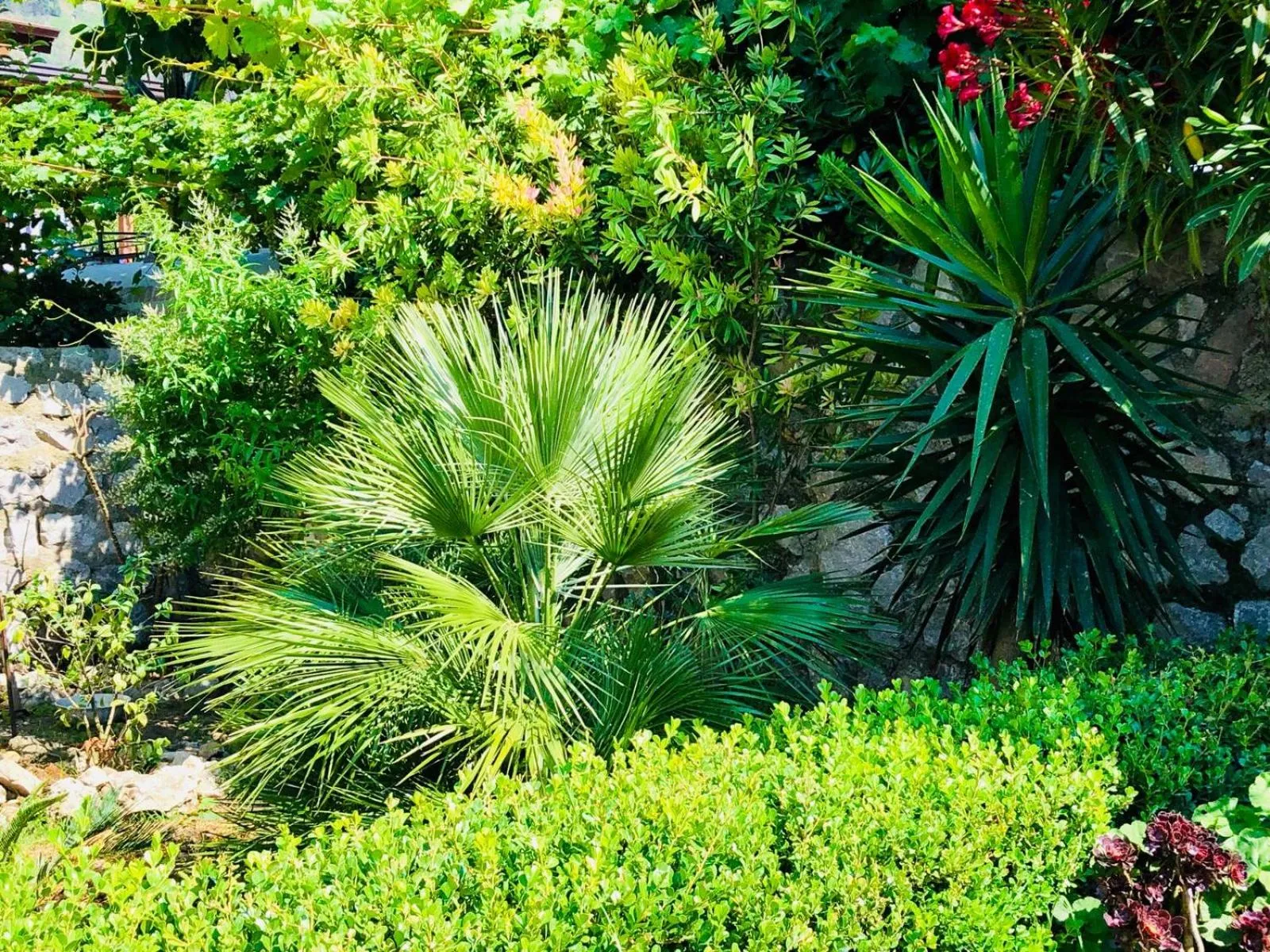 Agriturismo A do' Cumparone