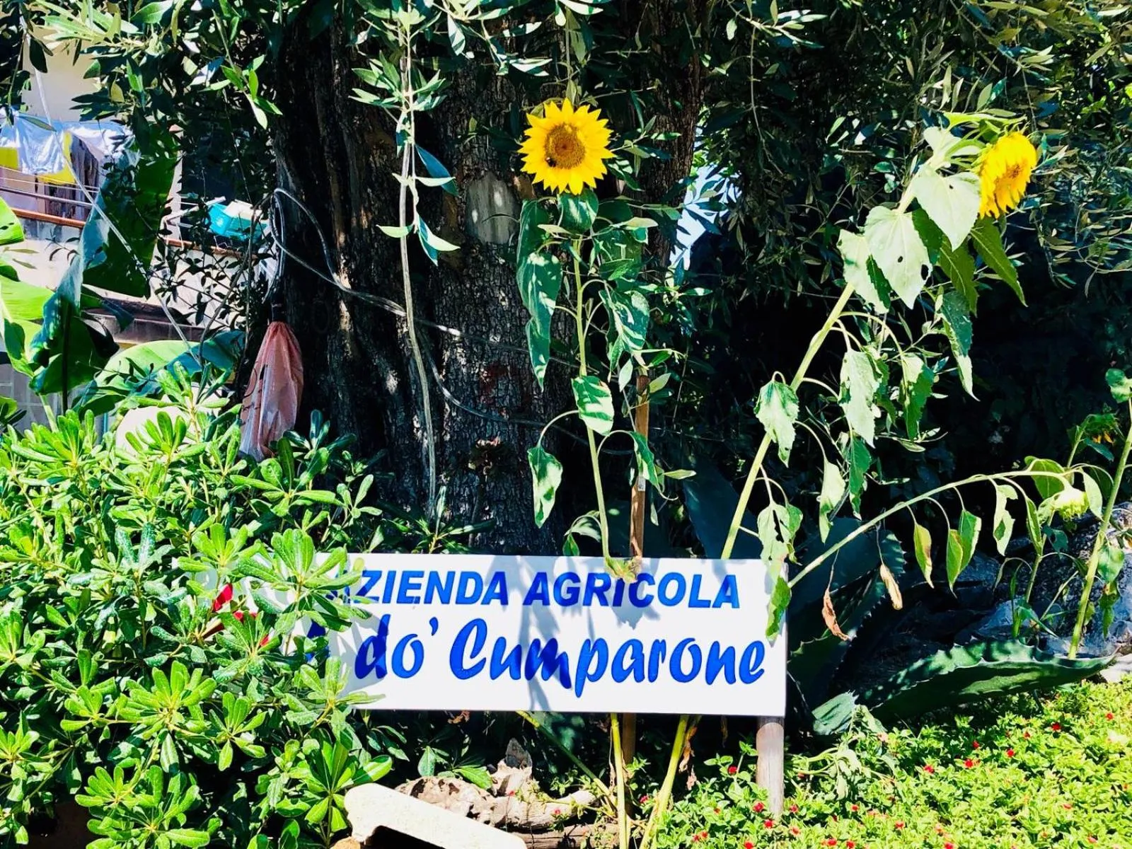 Agriturismo A do' Cumparone