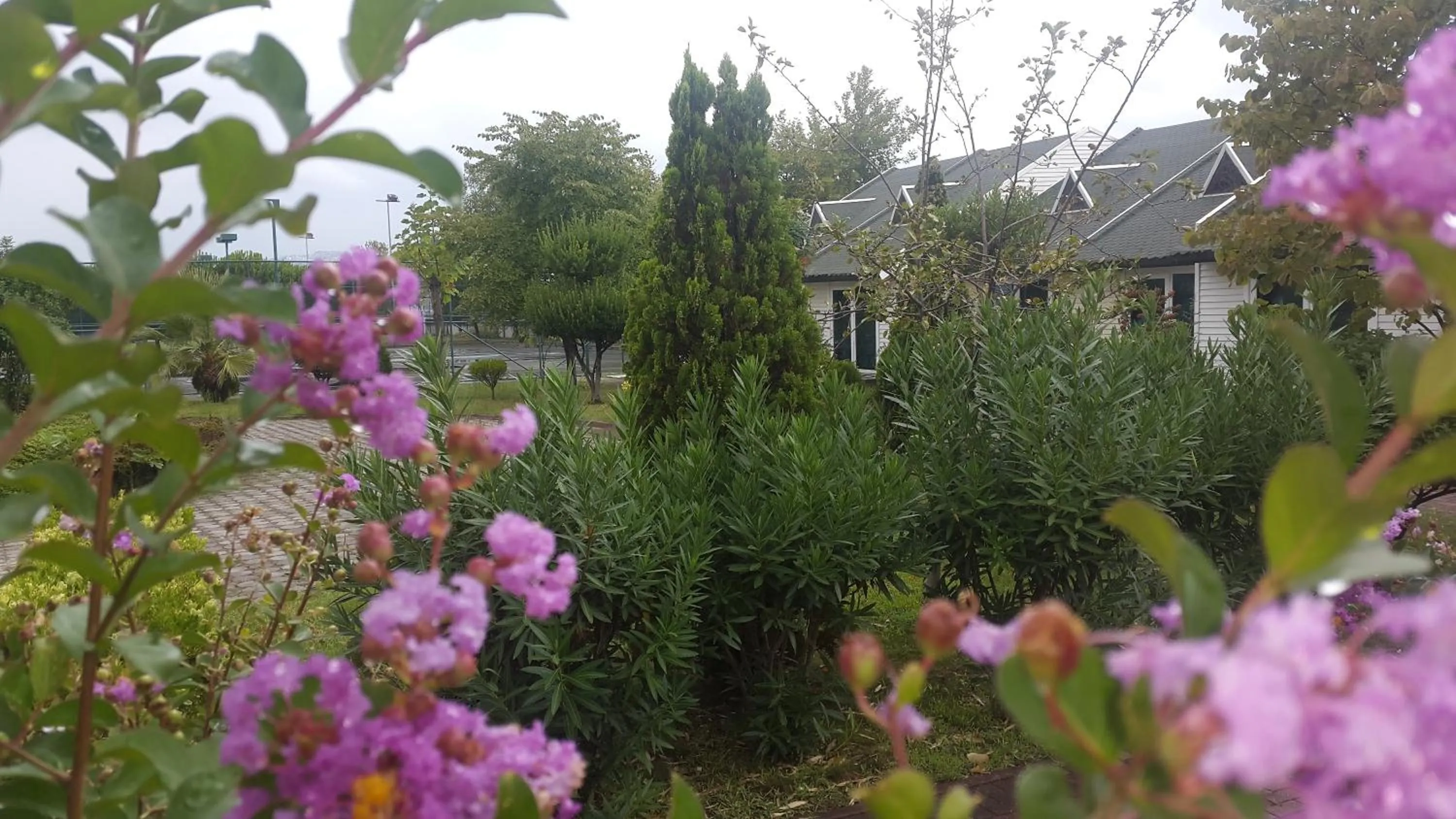 Spring in EmexOtel Kocaeli