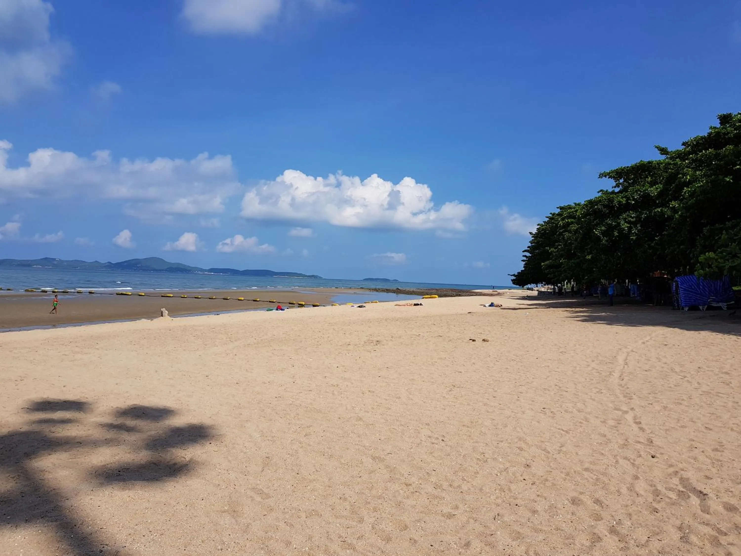 Other in The Chezz by Patsamon