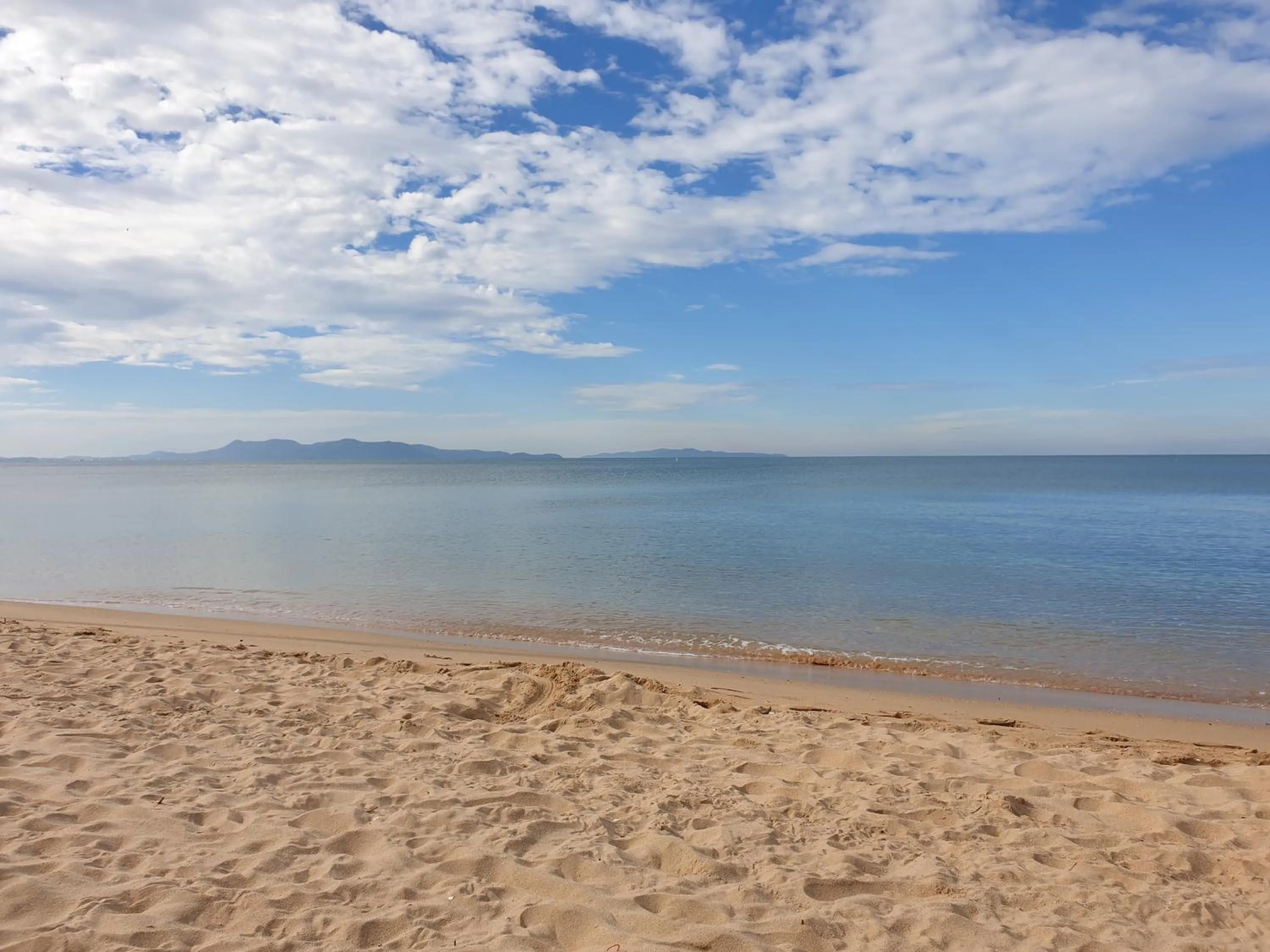 The Chezz by Patsamon