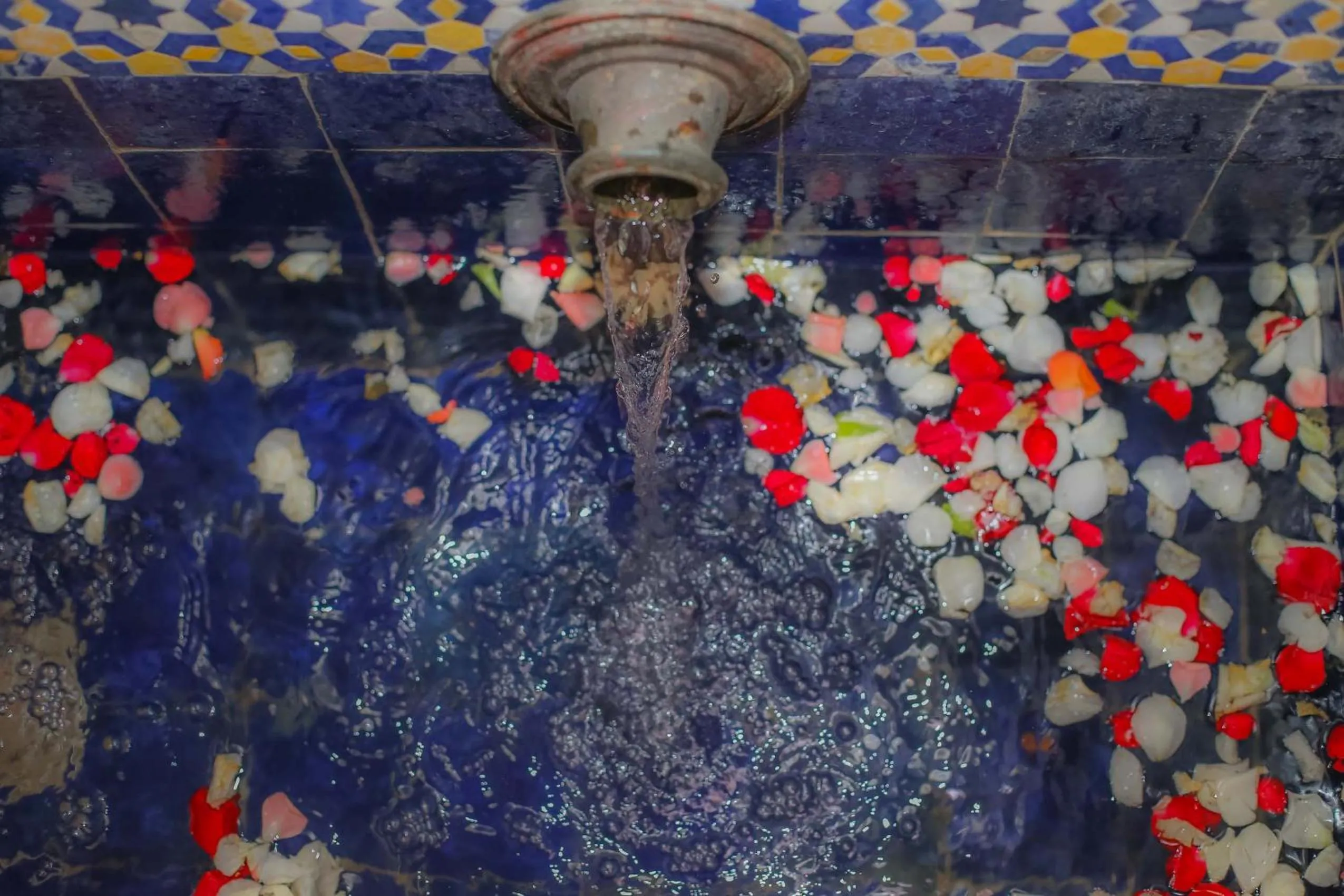 Entertainment in Riad Gzira Fez