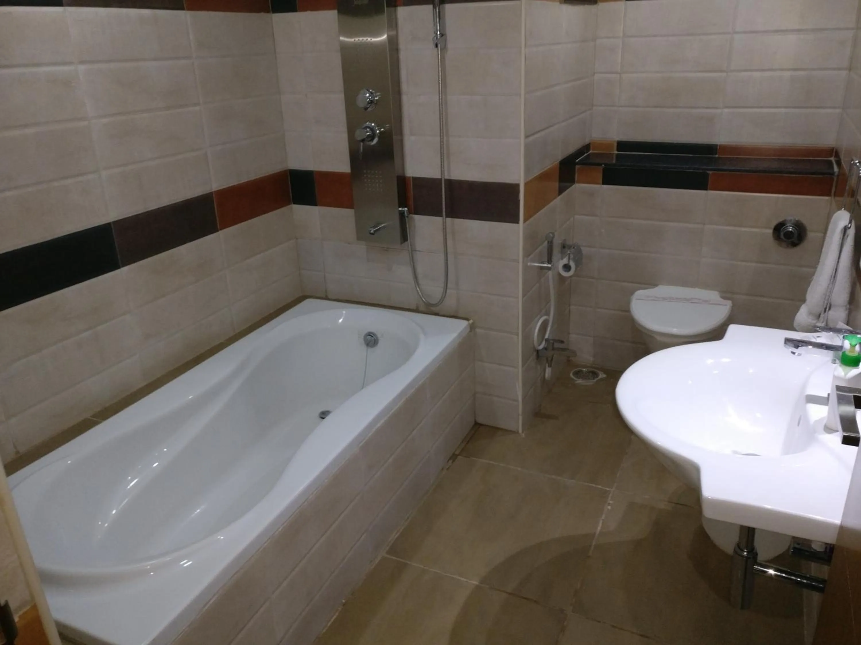 Bathroom in Hotel Hampi International