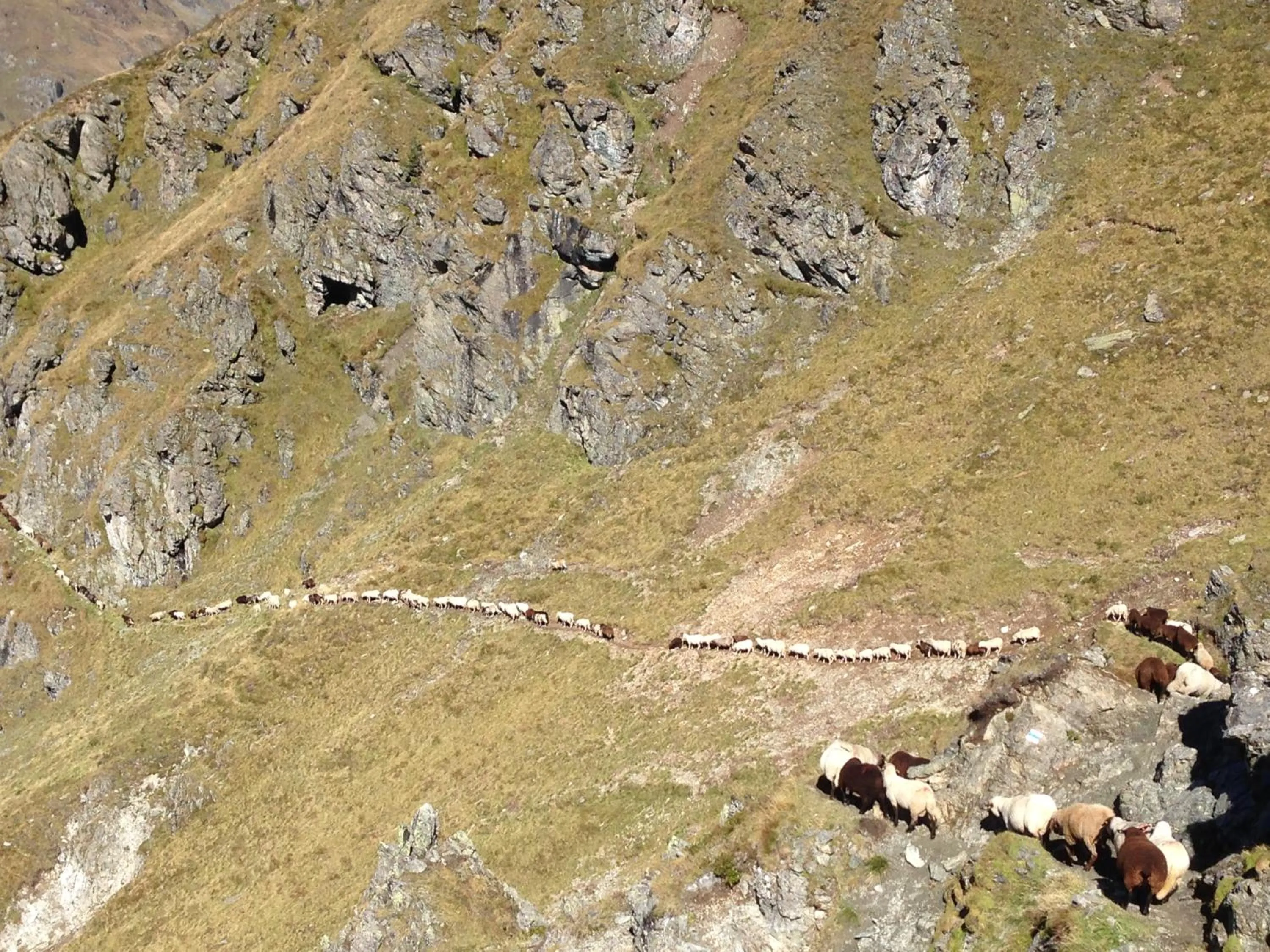 Hiking in Hotel Zerres