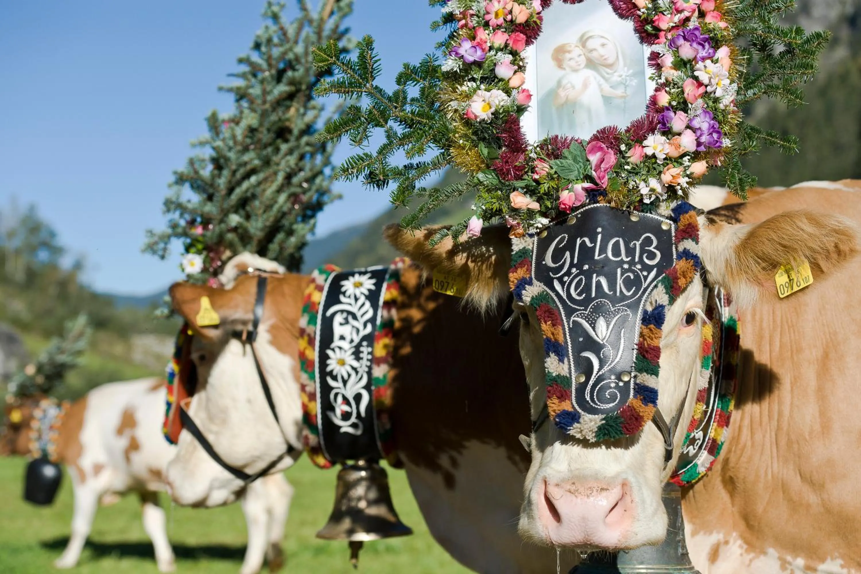 Animals in Hotel Eckartauerhof