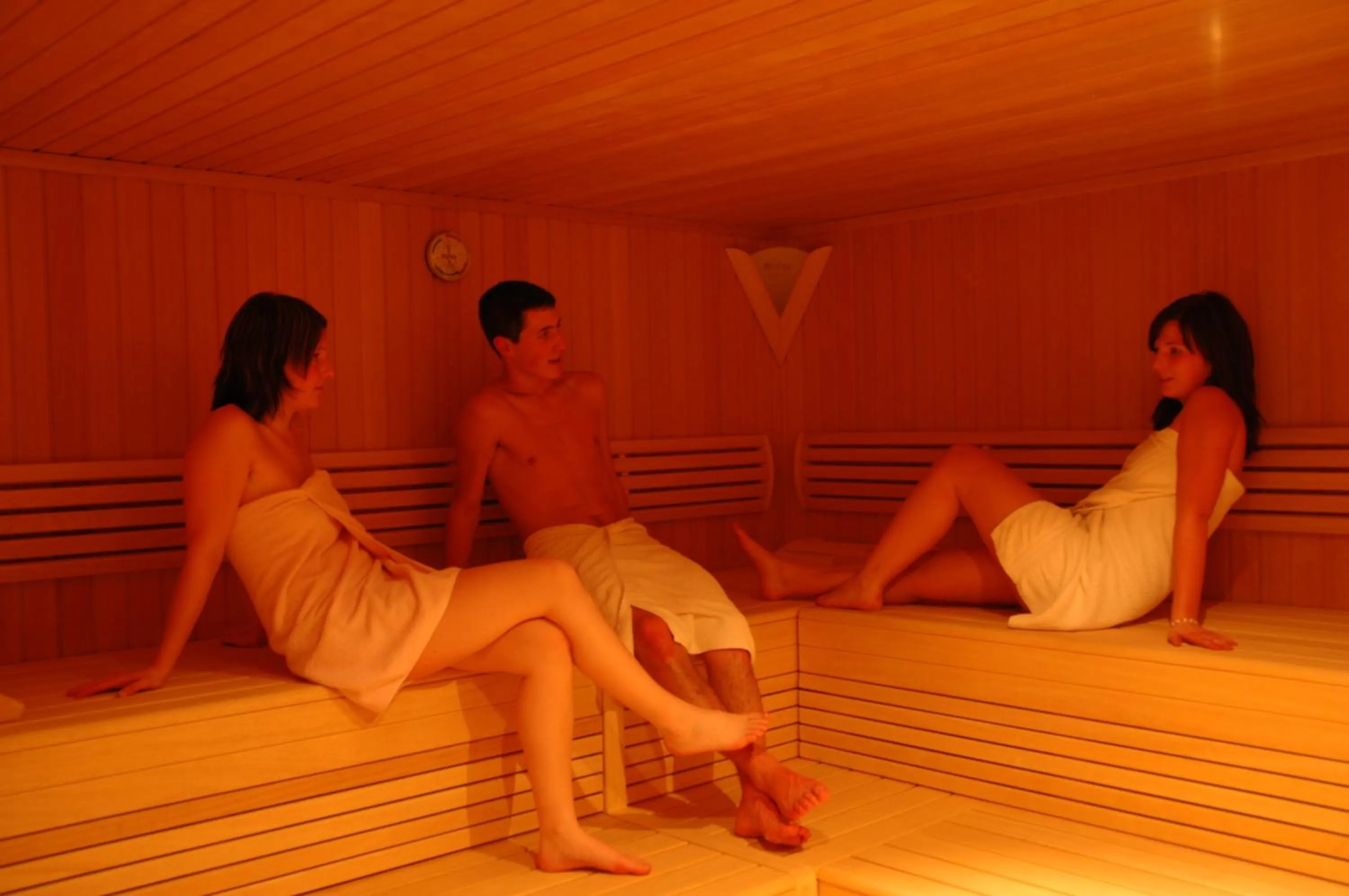 Sauna in Hotel Eckartauerhof