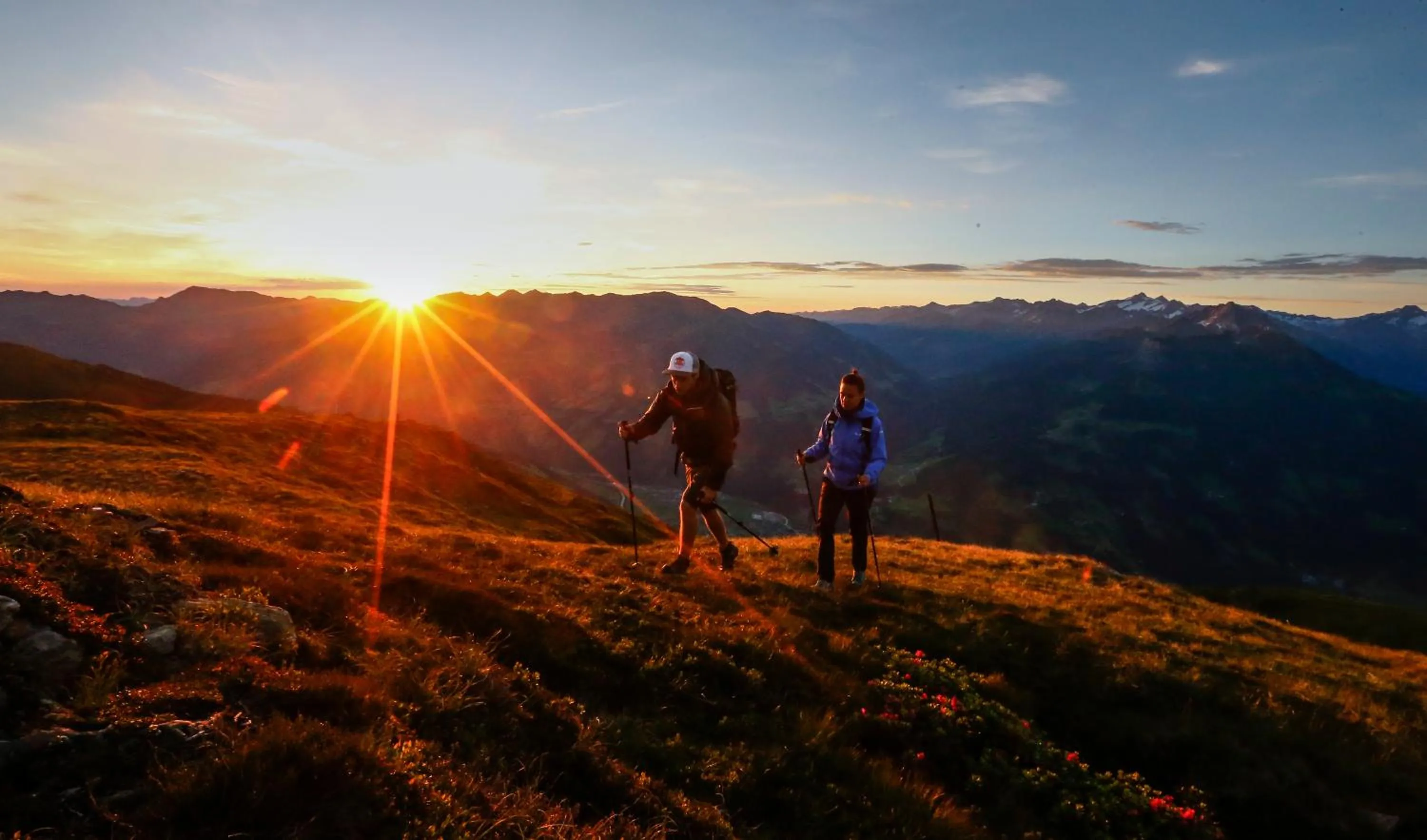 Natural landscape in Hotel Eckartauerhof