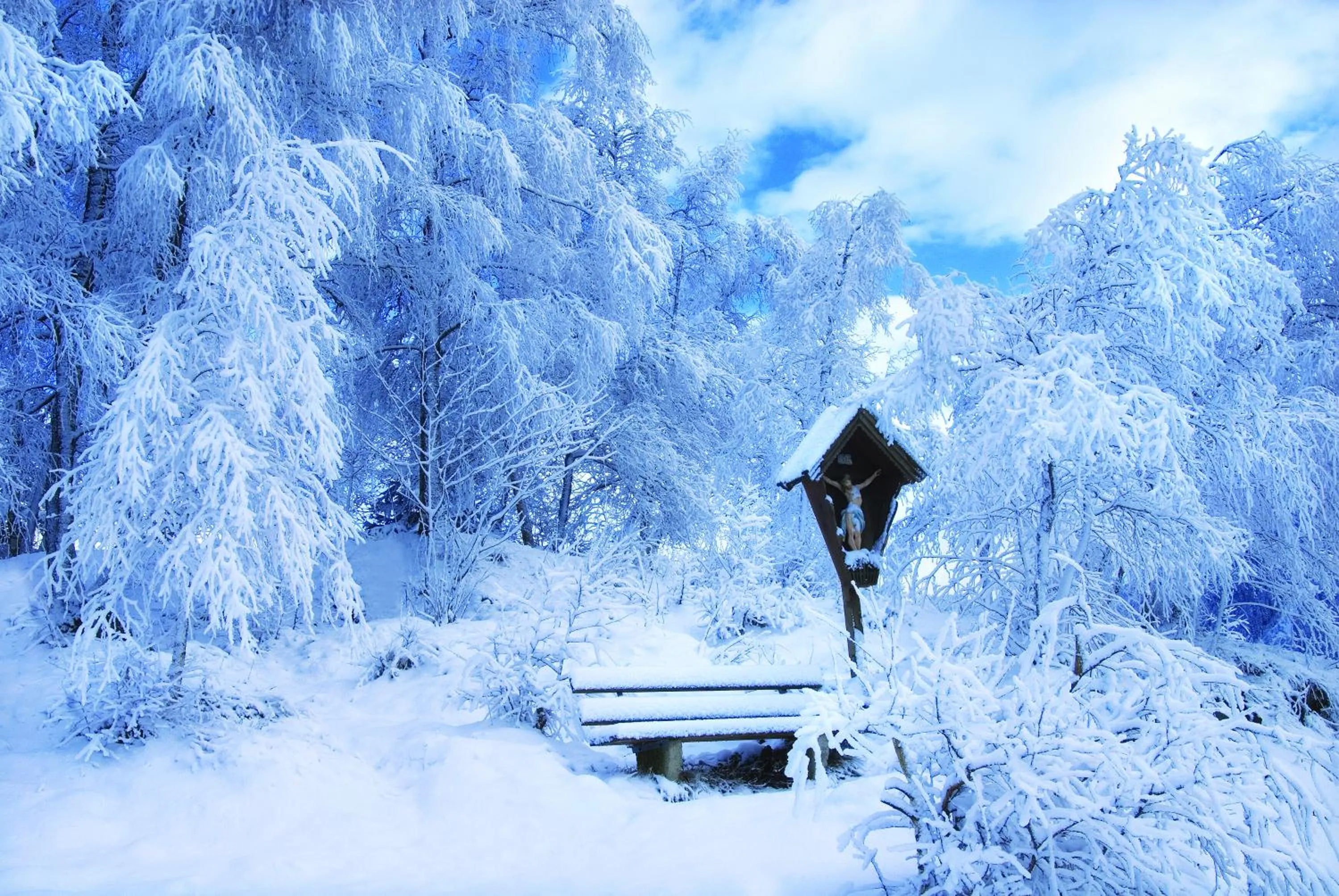 Nearby landmark in Hotel Eckartauerhof