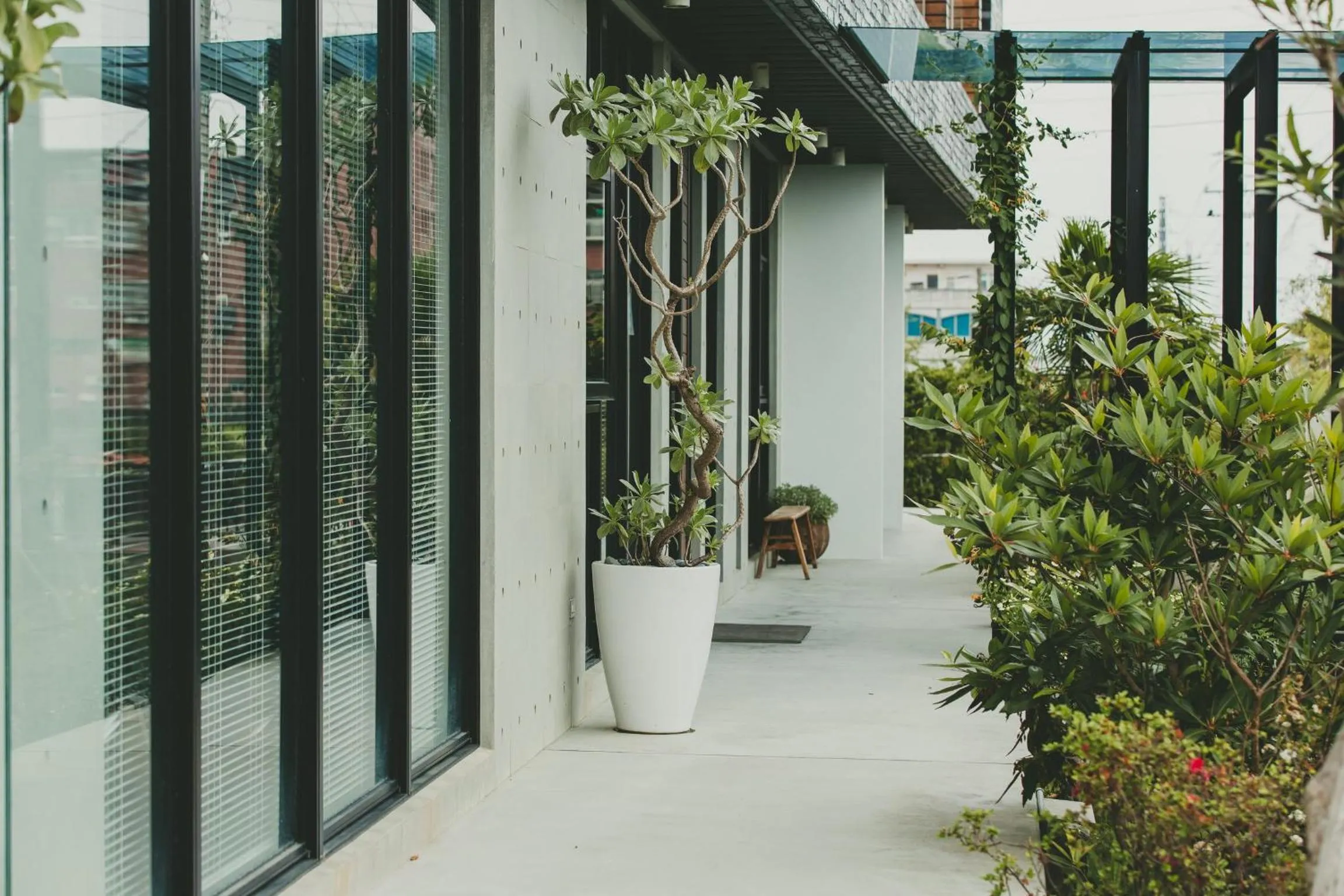 View (from property/room) in Island Sunrise