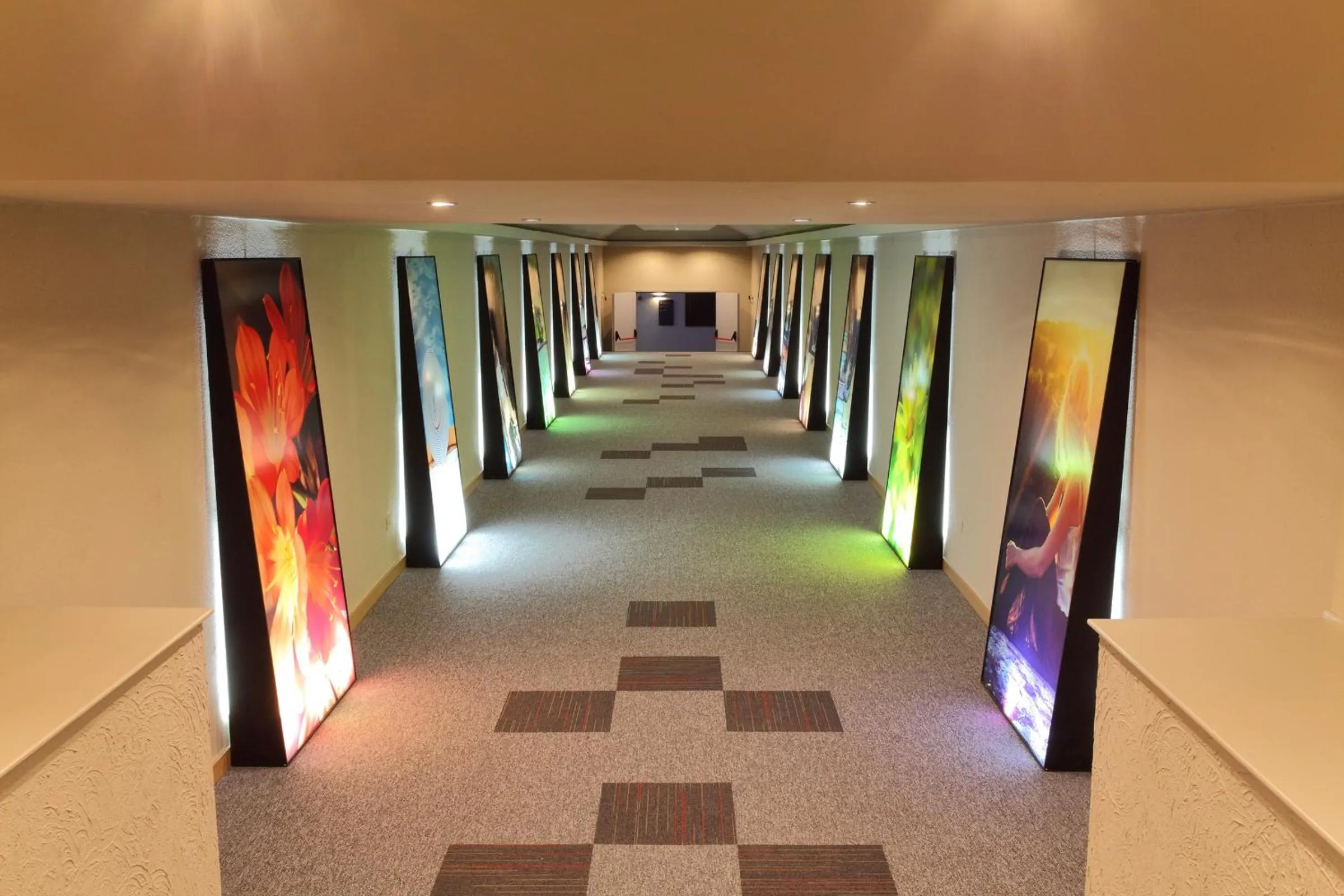 Other in O7 Tenerife