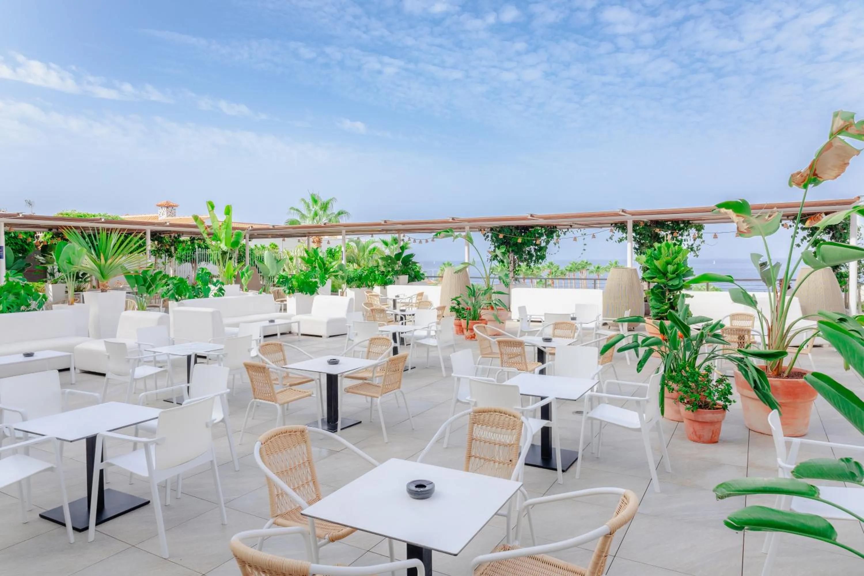 Day in Landmar Playa La Arena