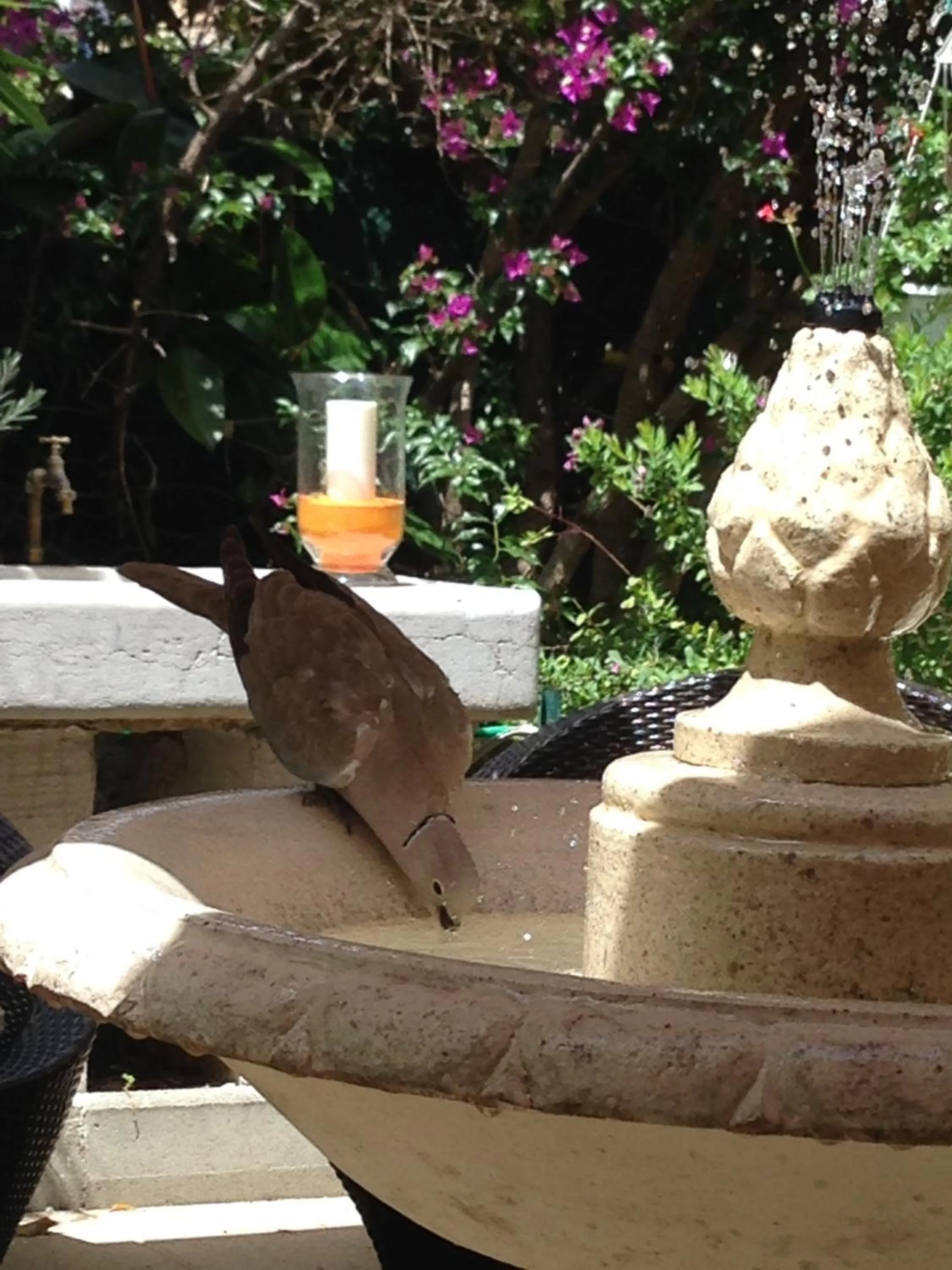 Day in Hotel Chalet De L'isere