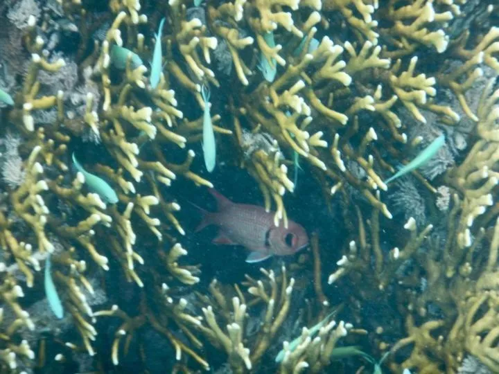 Activities in Flo Villa