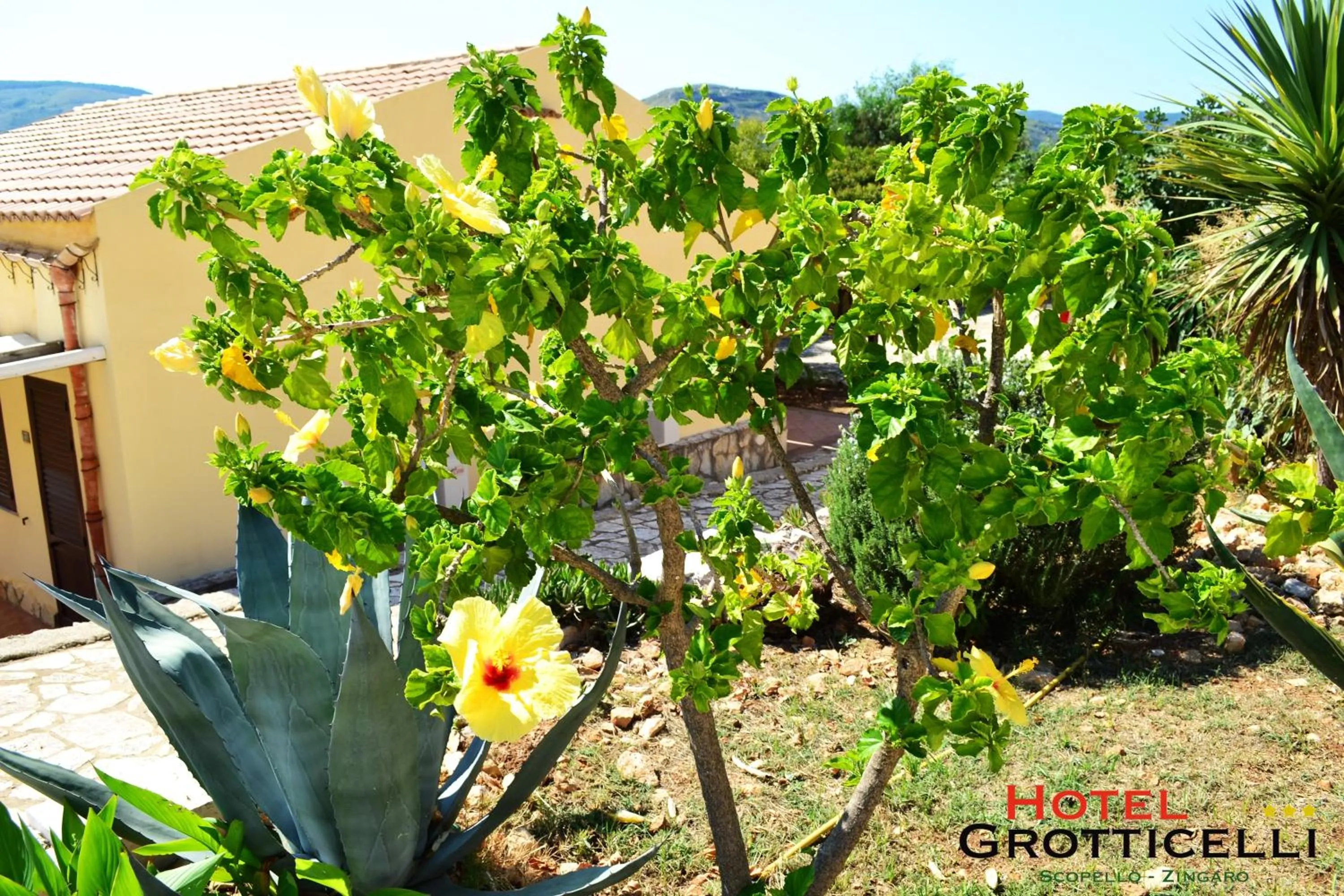 Property building in Hotel Grotticelli