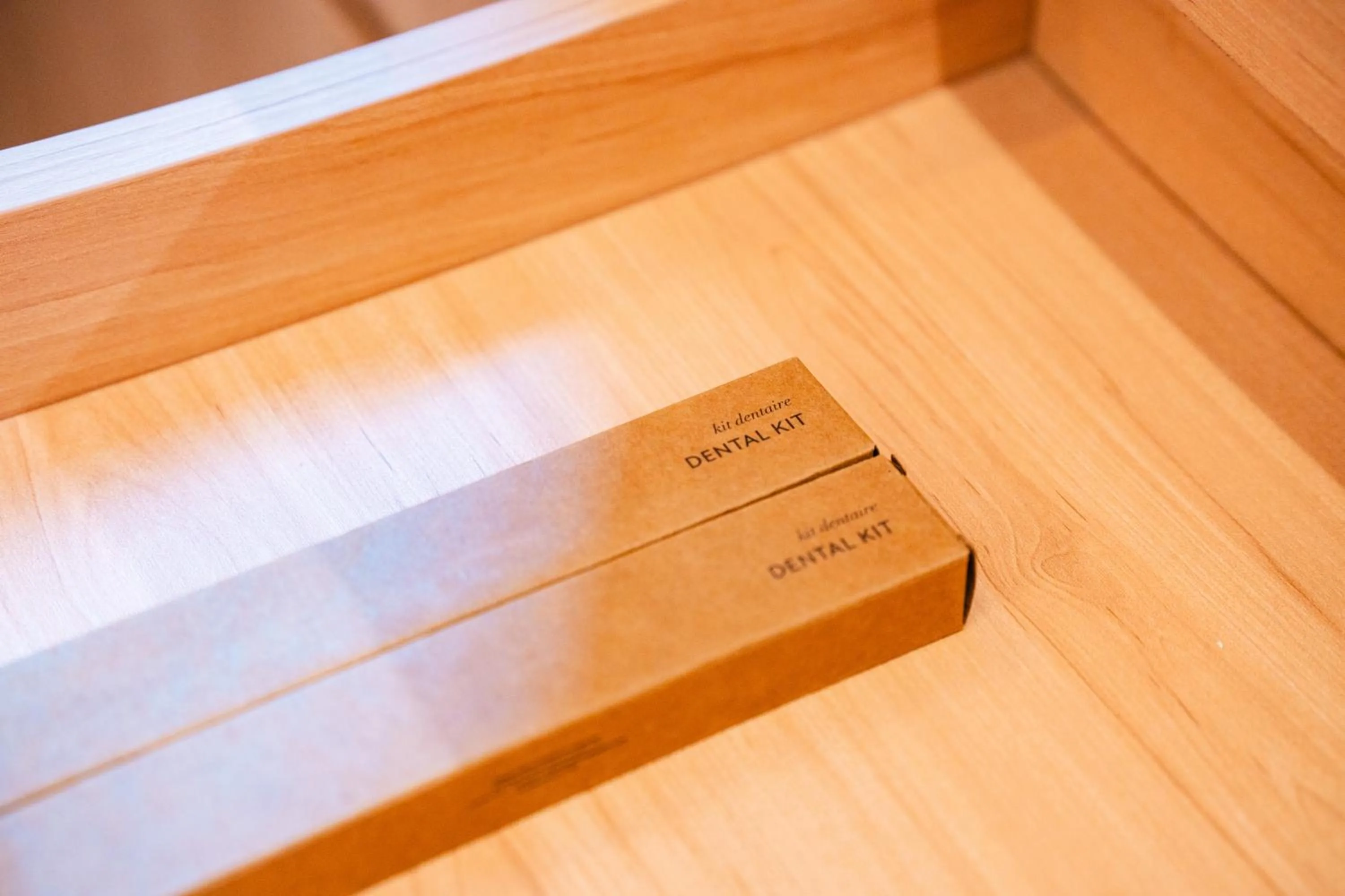 Area and facilities in Hotel Star Shell