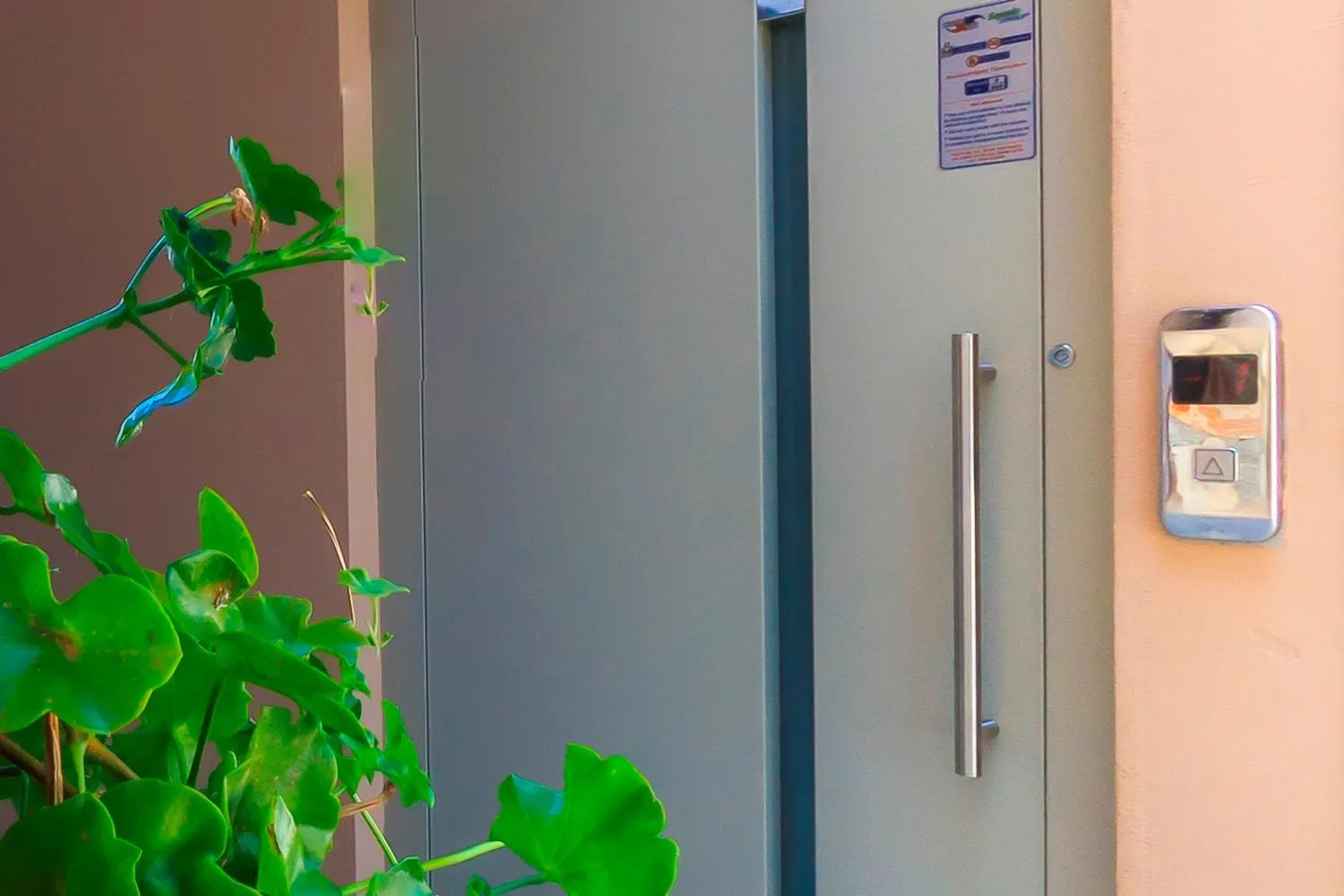 Other in Elena's Studios