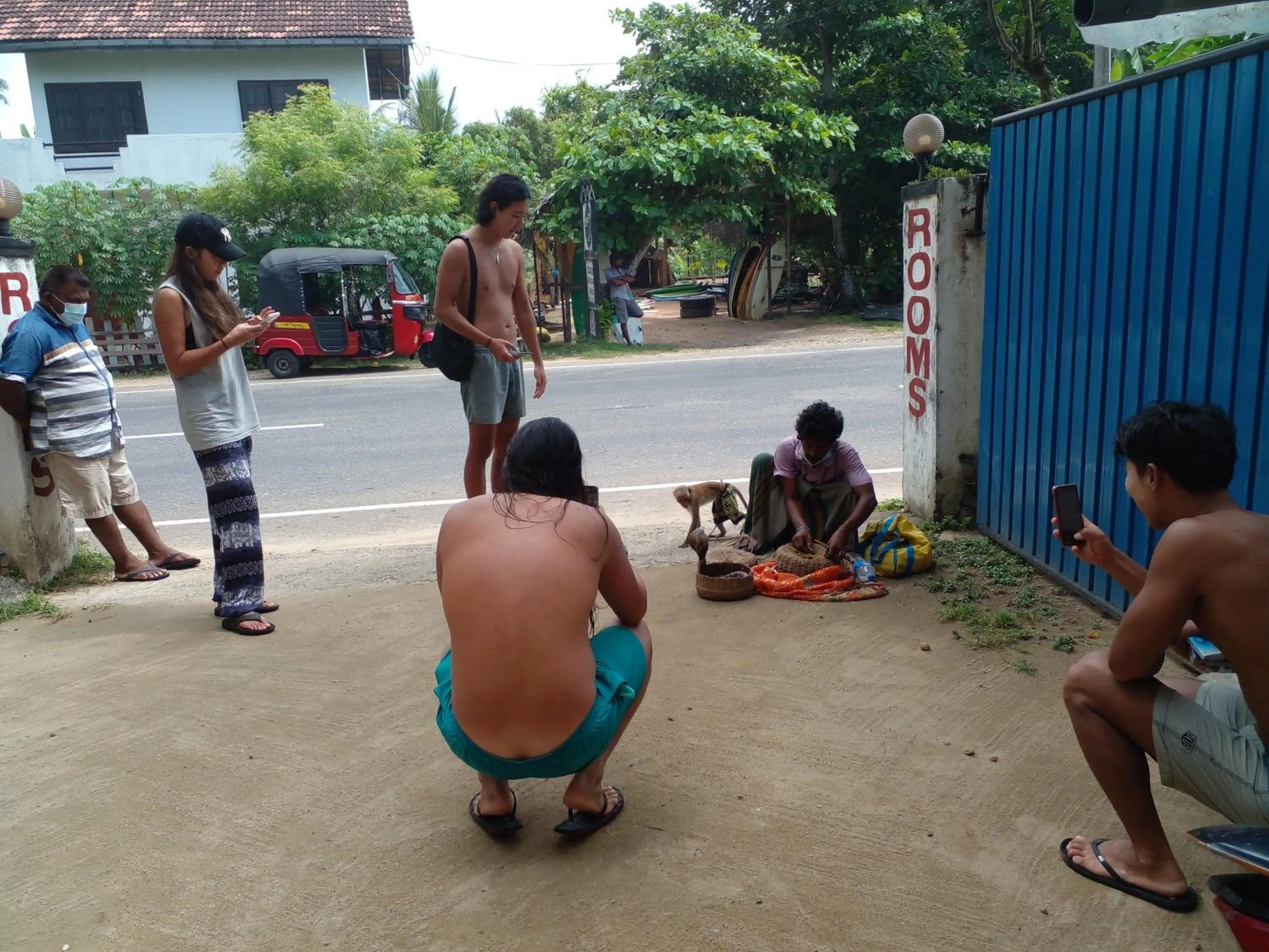 Jayanthi Surf Dreams