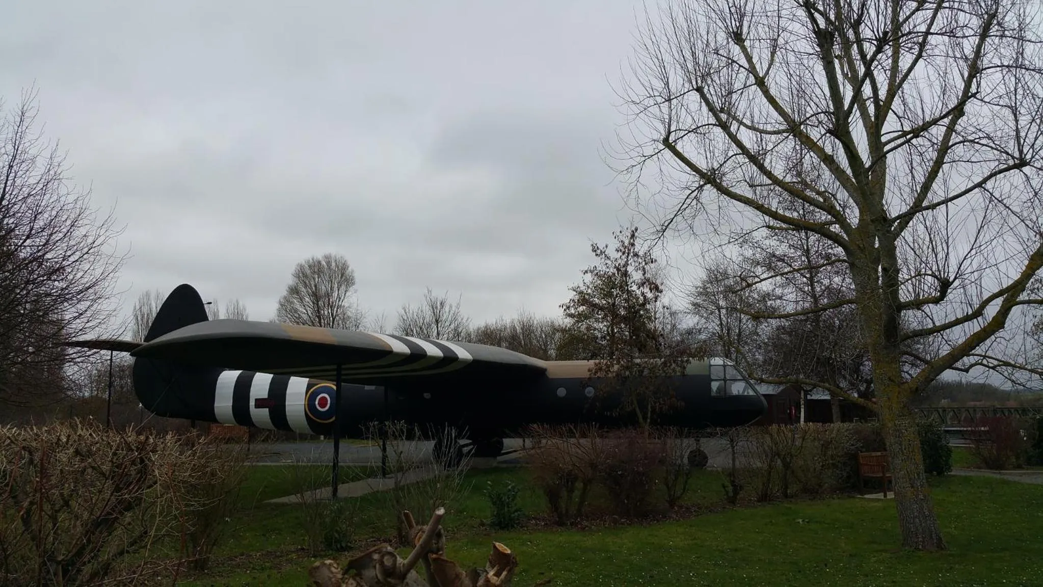Activities in Cottage sword beach