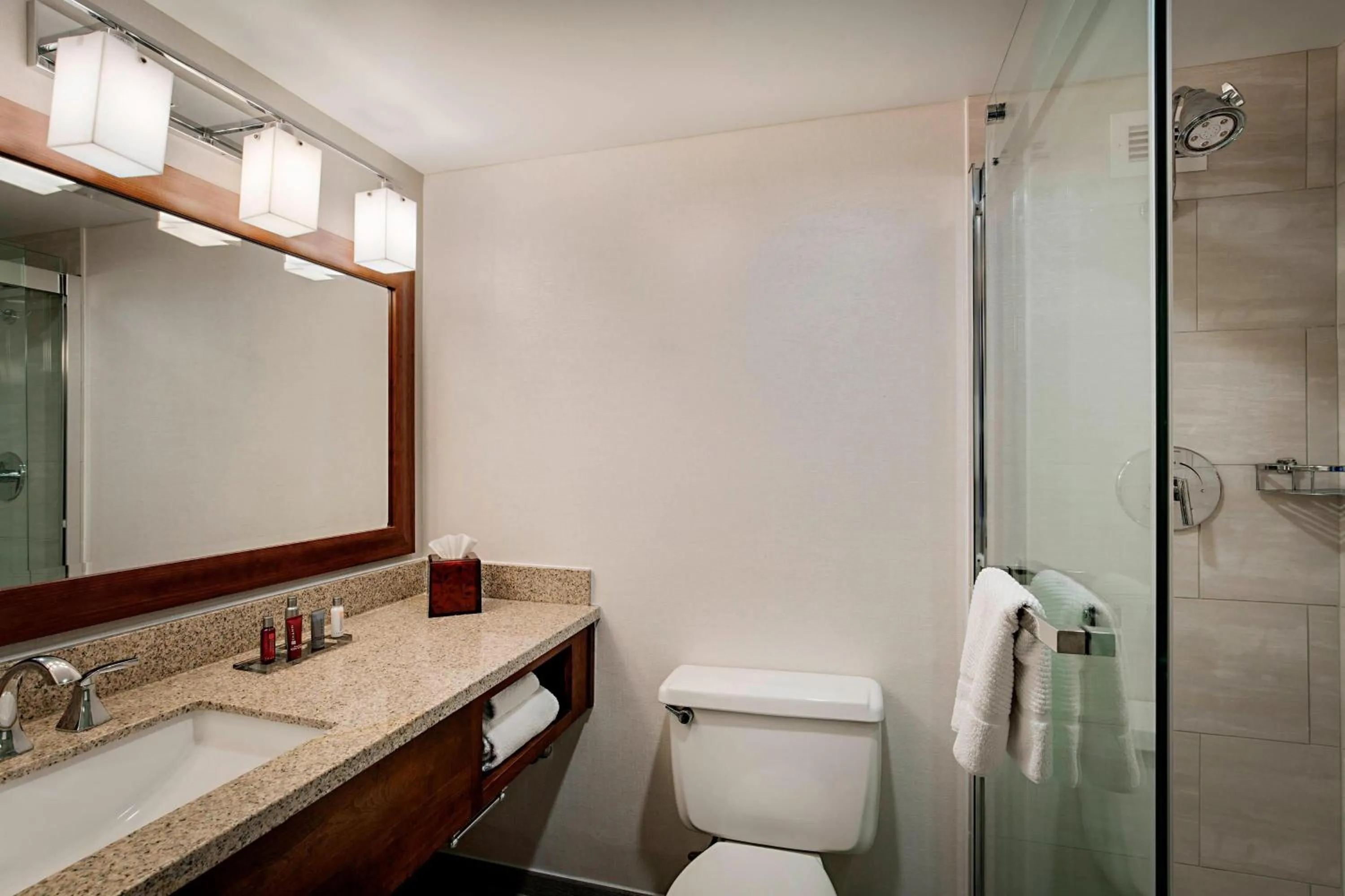 Bathroom in Lincolnshire Marriott Resort