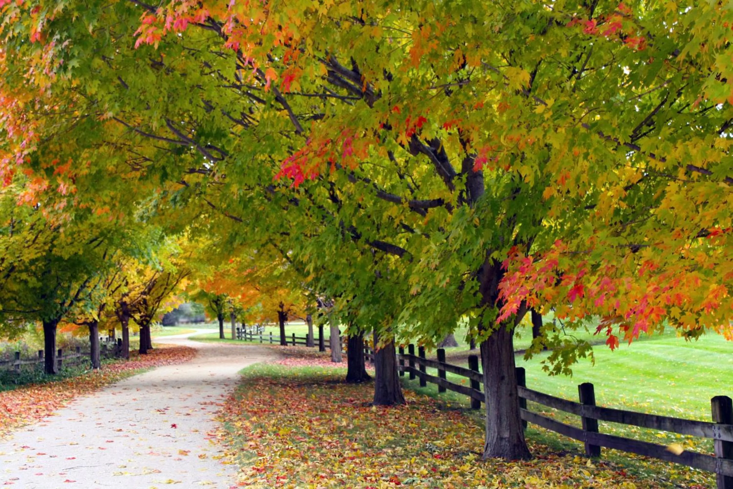 Fitness centre/facilities in Lincolnshire Marriott Resort