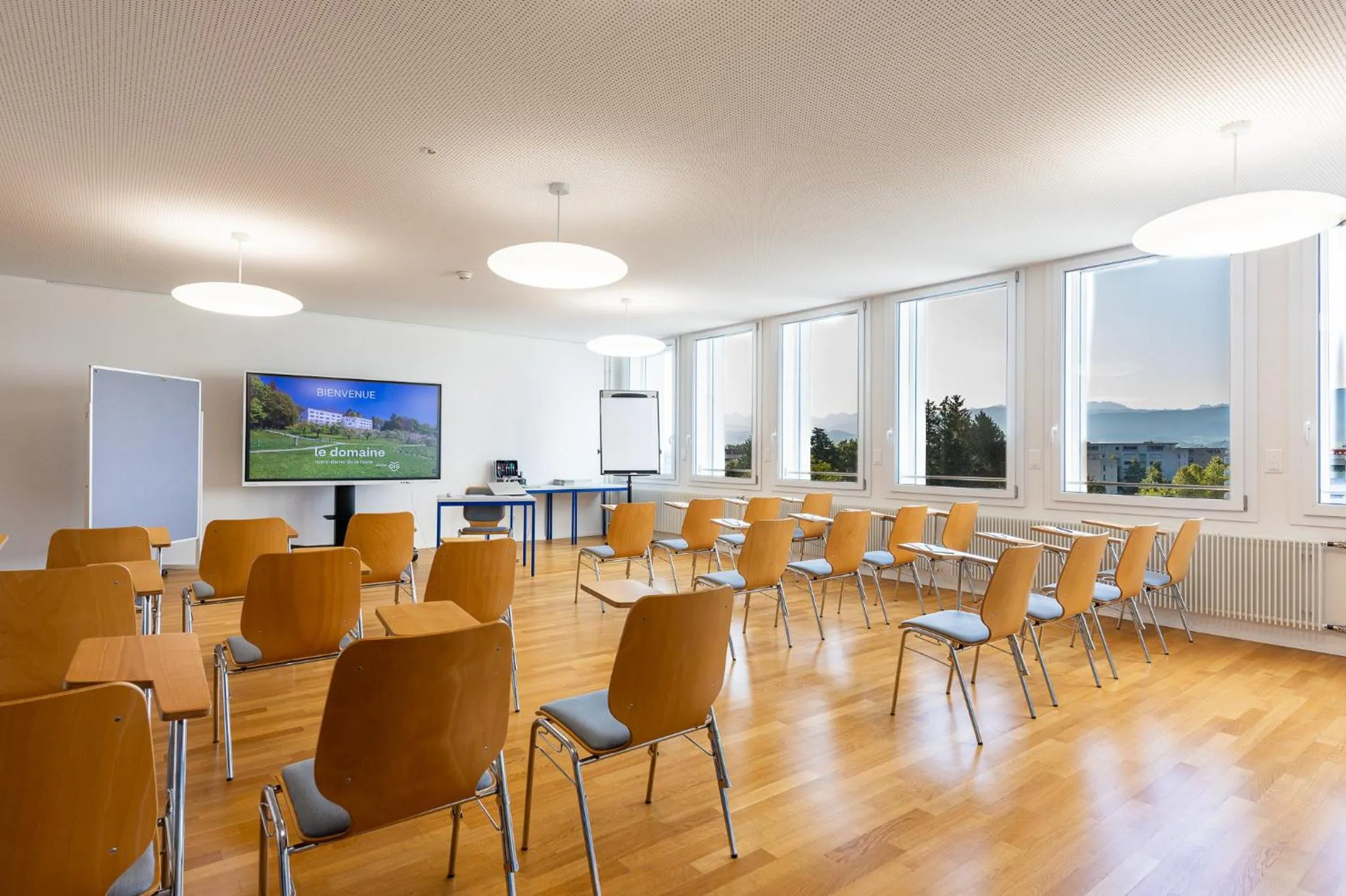 Meeting/conference room in Le Domaine (Swiss Lodge)