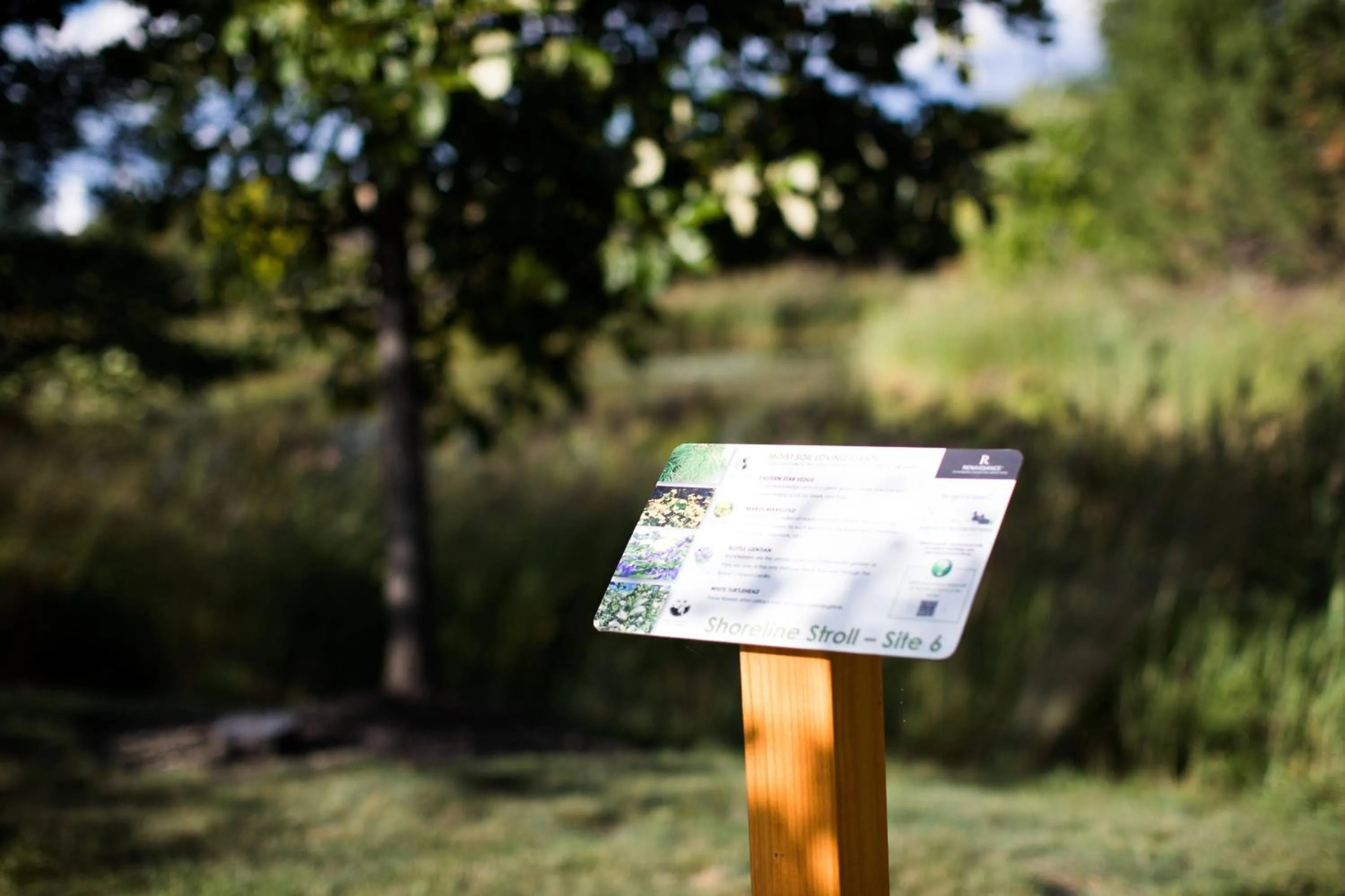 Area and facilities in Renaissance Schaumburg Convention Center Hotel