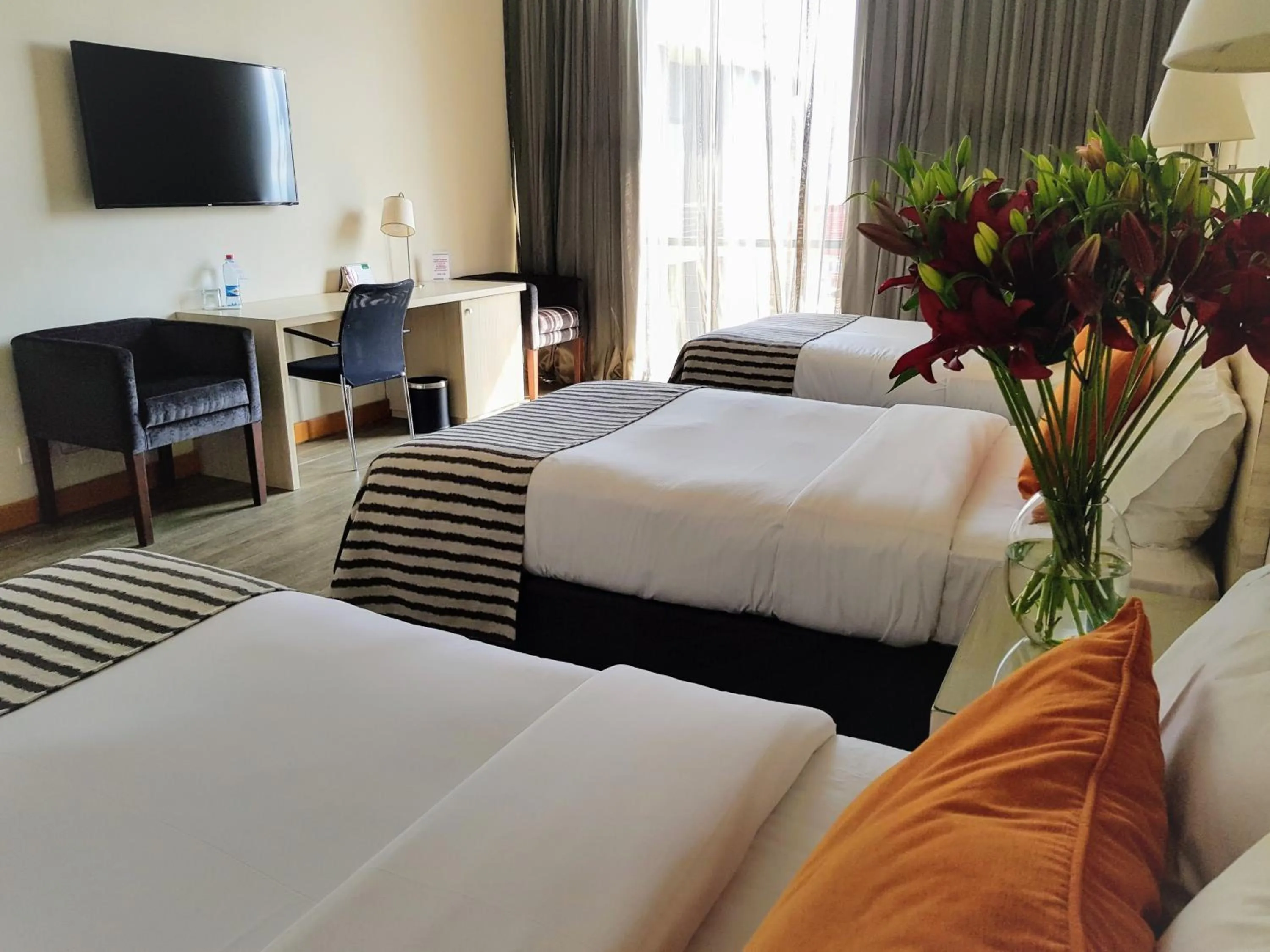 Photo of the whole room, Bed in Hotel Casino Talca