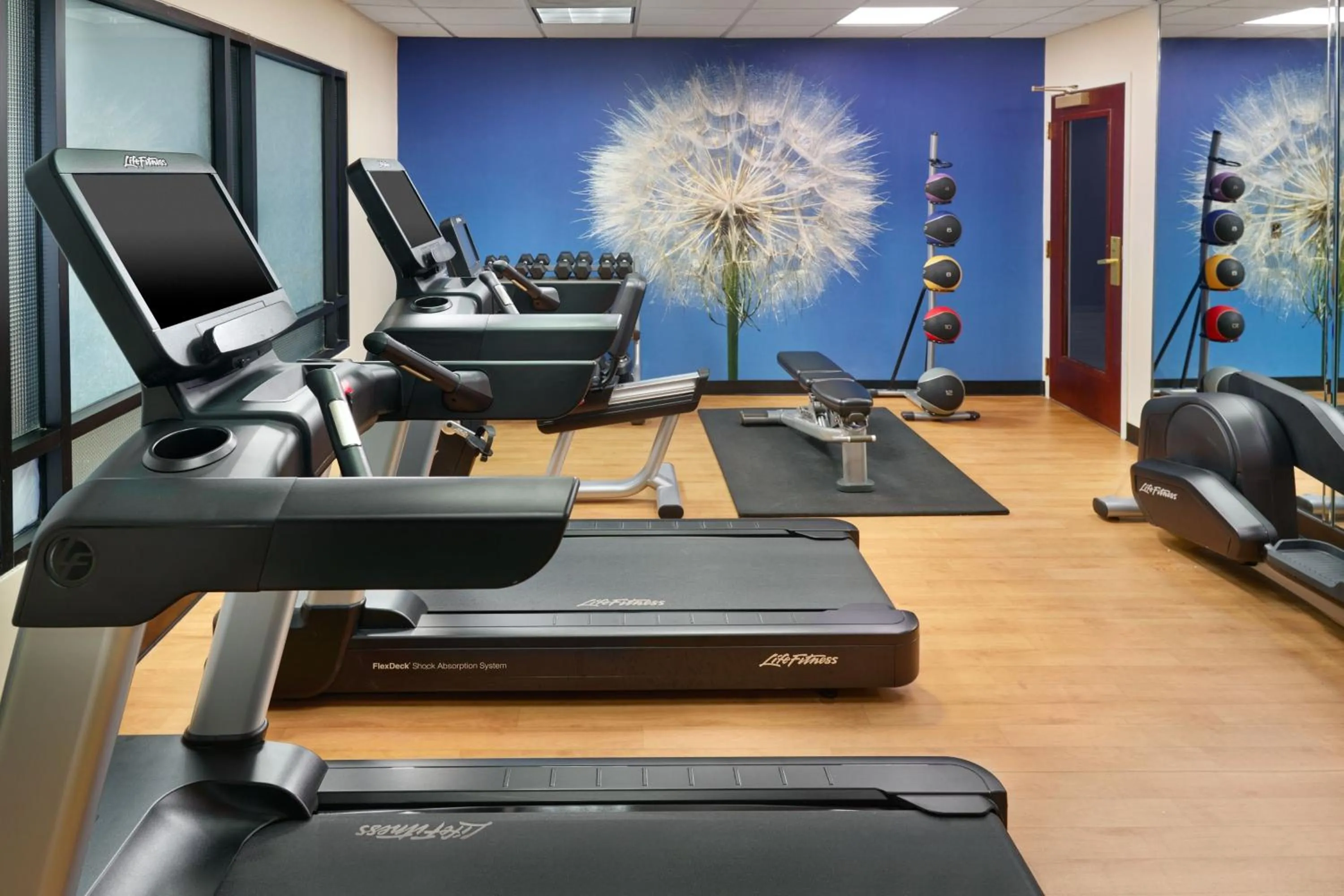 Fitness centre/facilities in SpringHill Suites Charlotte University Research Park