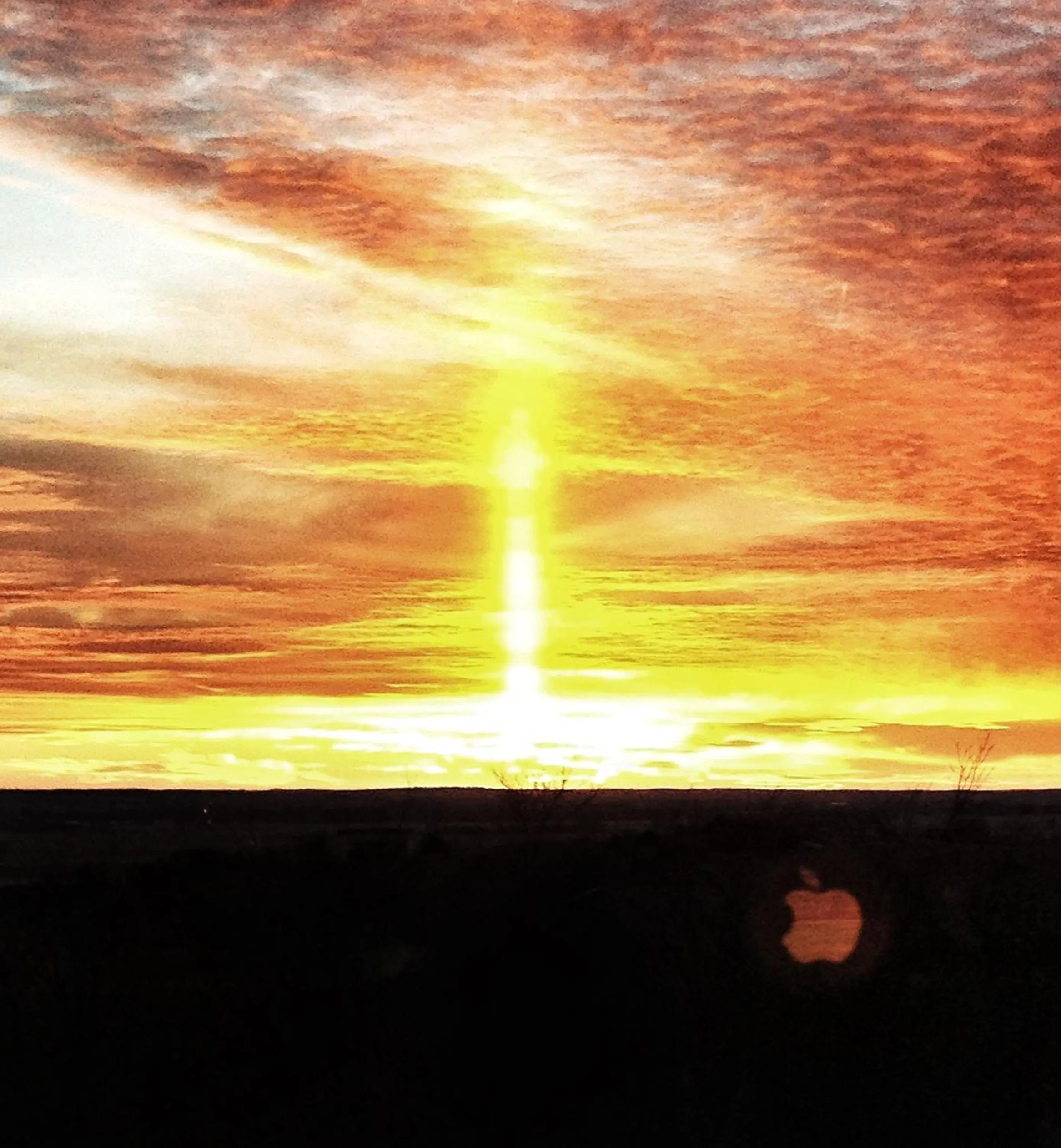 Property building in ReWild Ranch LLC