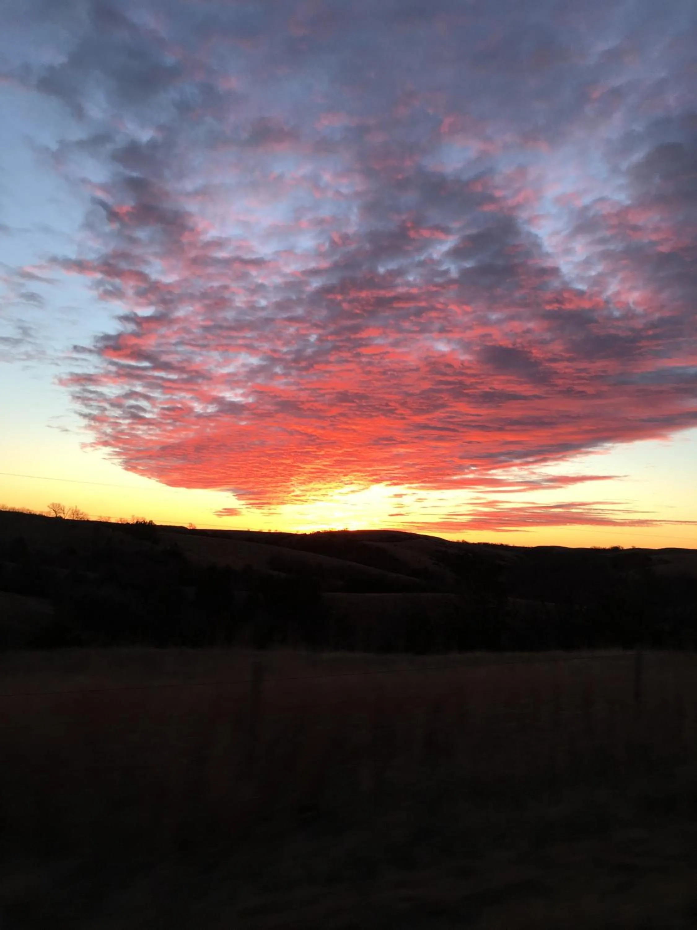 Property building in ReWild Ranch LLC