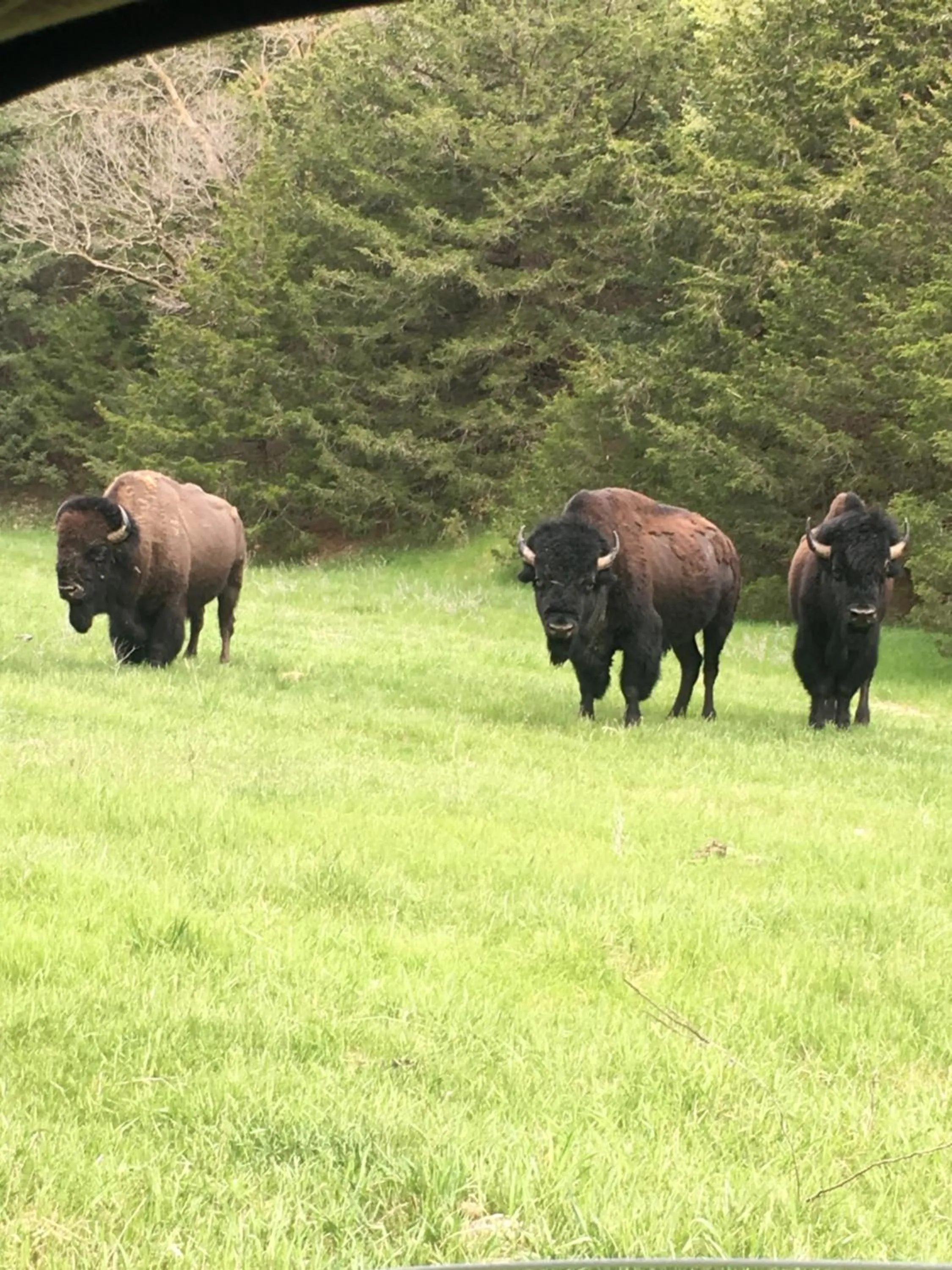 Property building in ReWild Ranch LLC