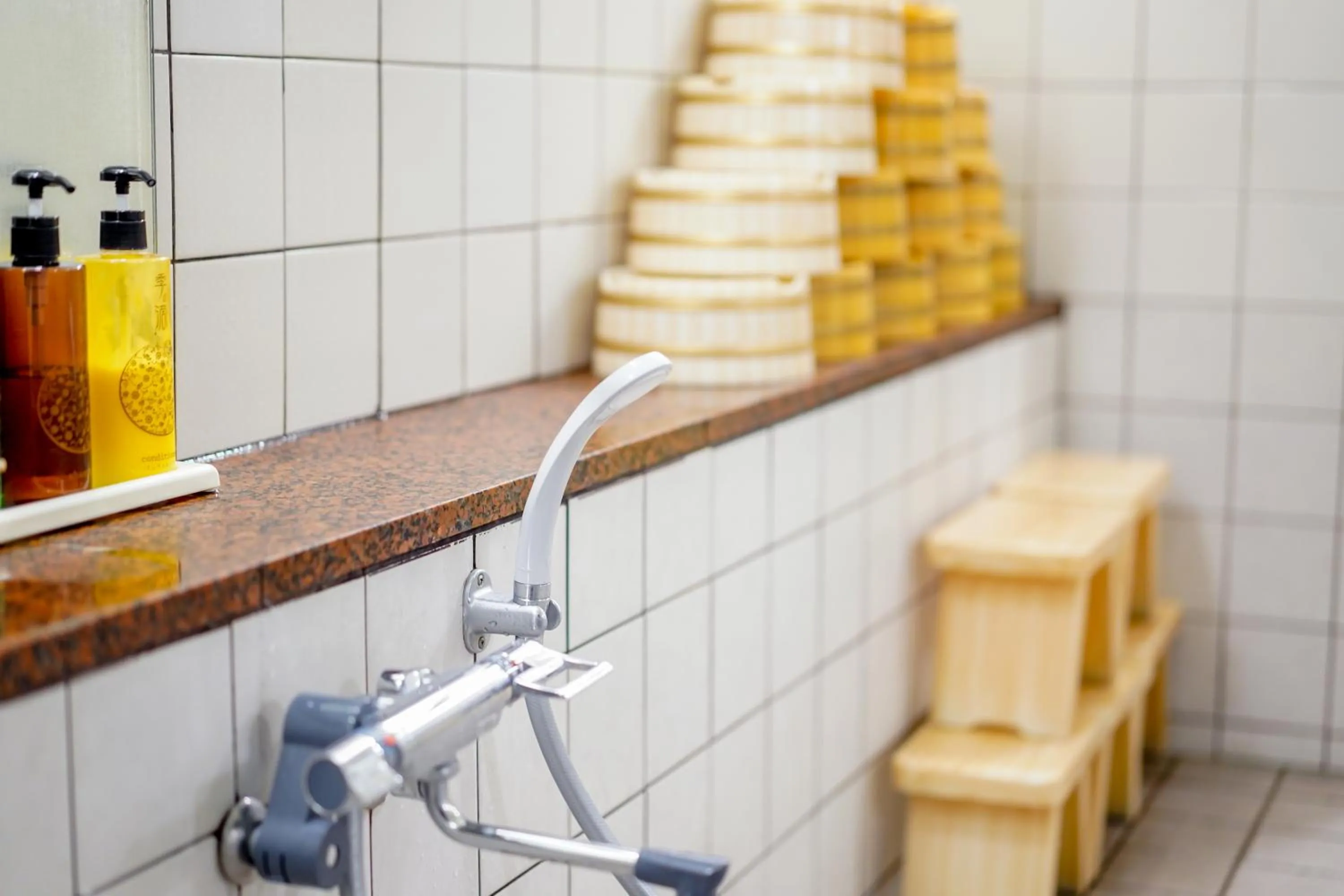 Public Bath in Ryokan Wakamiya