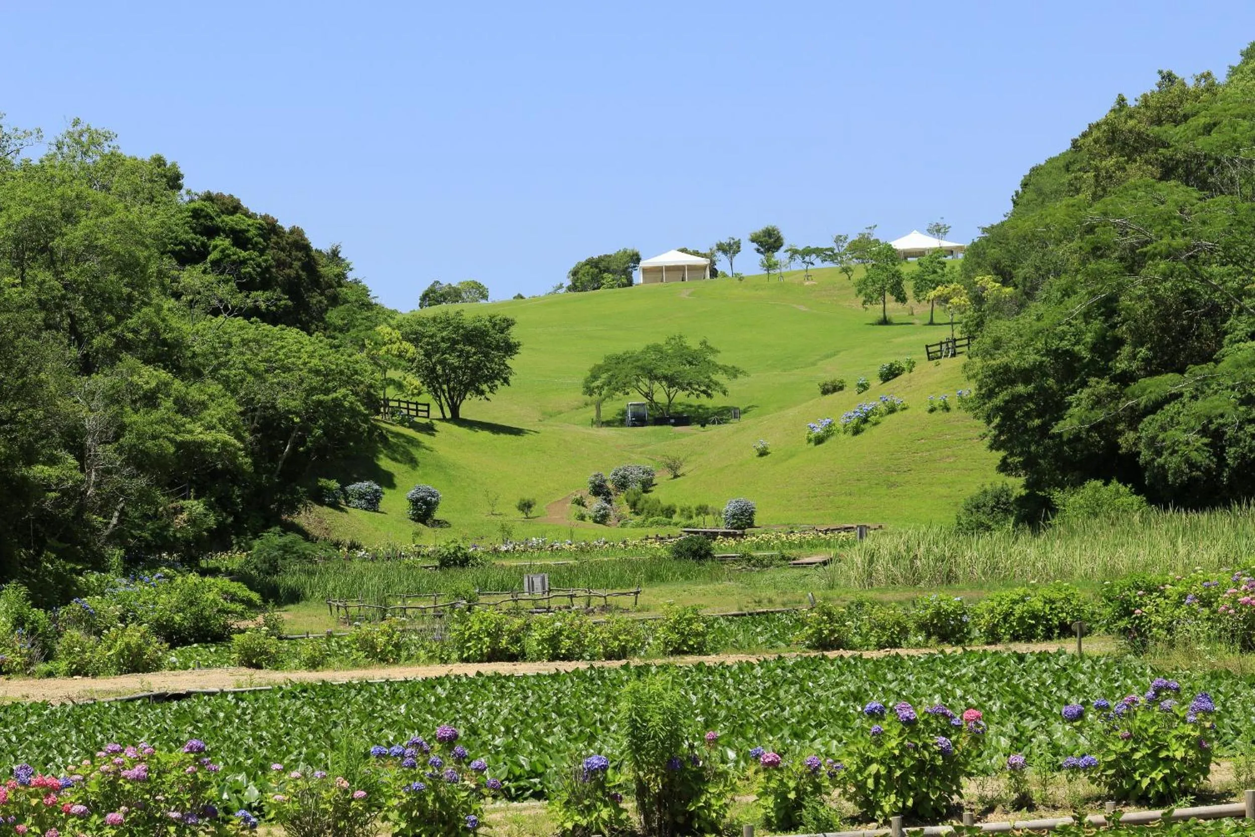 On site in Nemu Resort Hotel Nemu