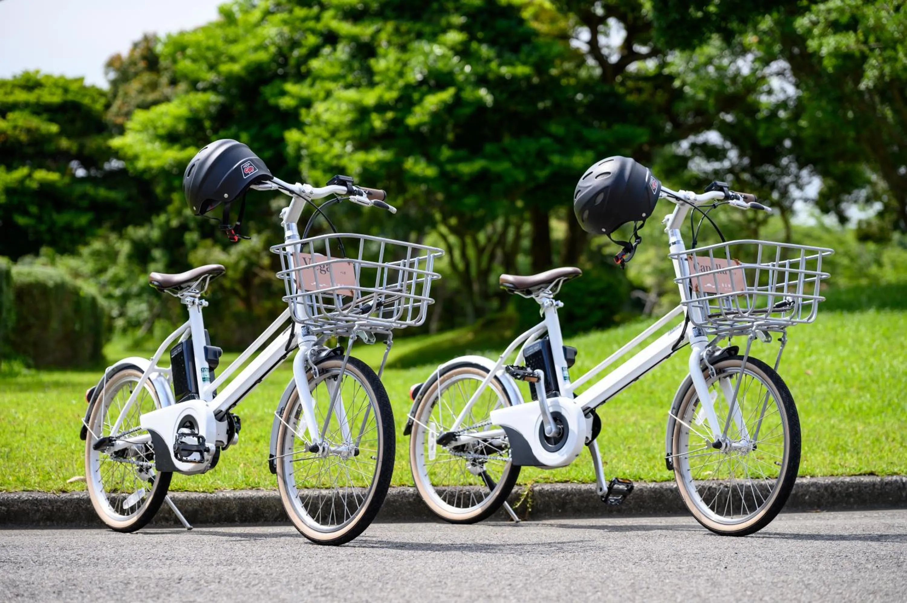 Activities in Nemu Resort Hotel Nemu