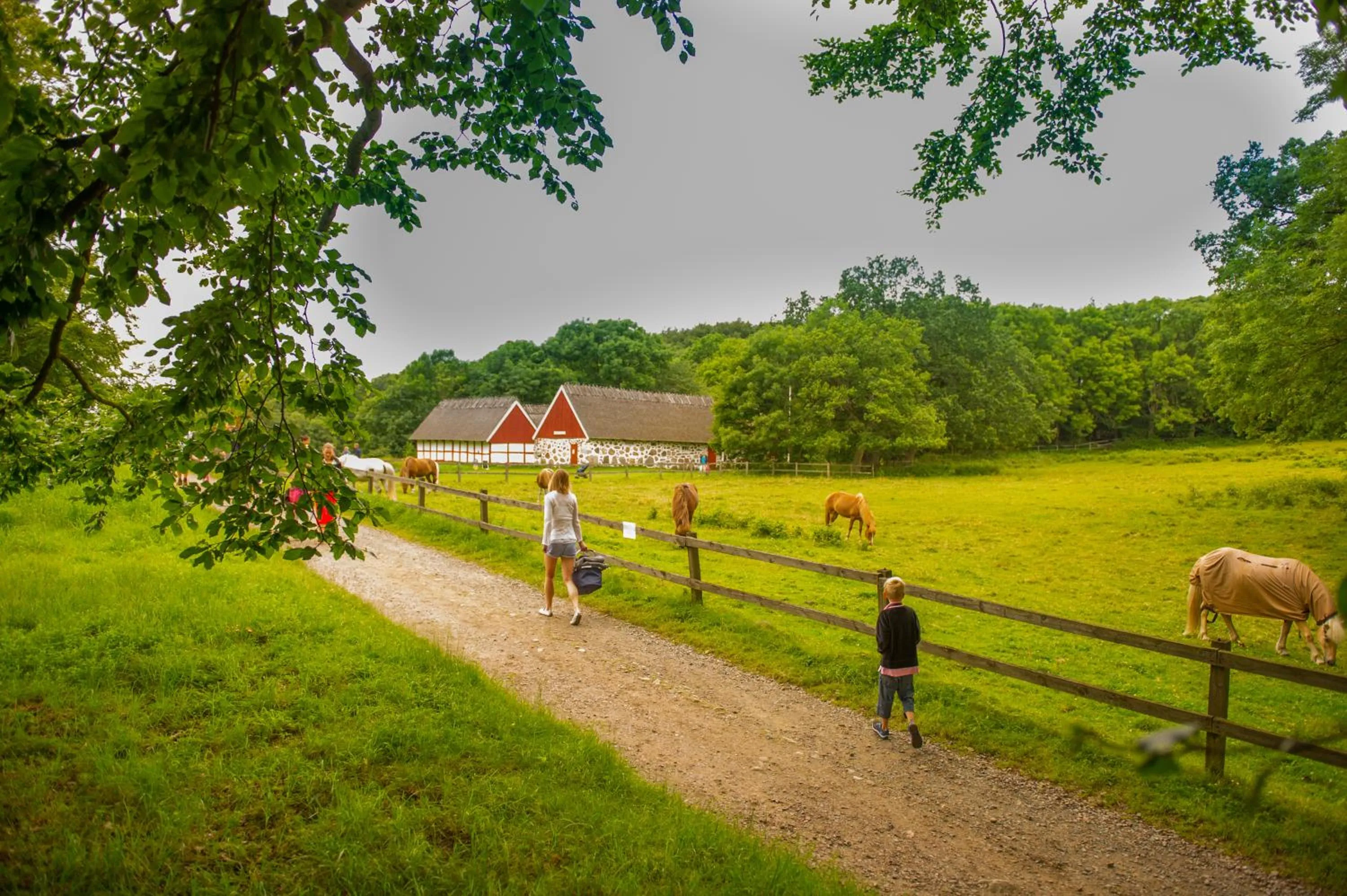 Hiking in Hotel Rusthållargården