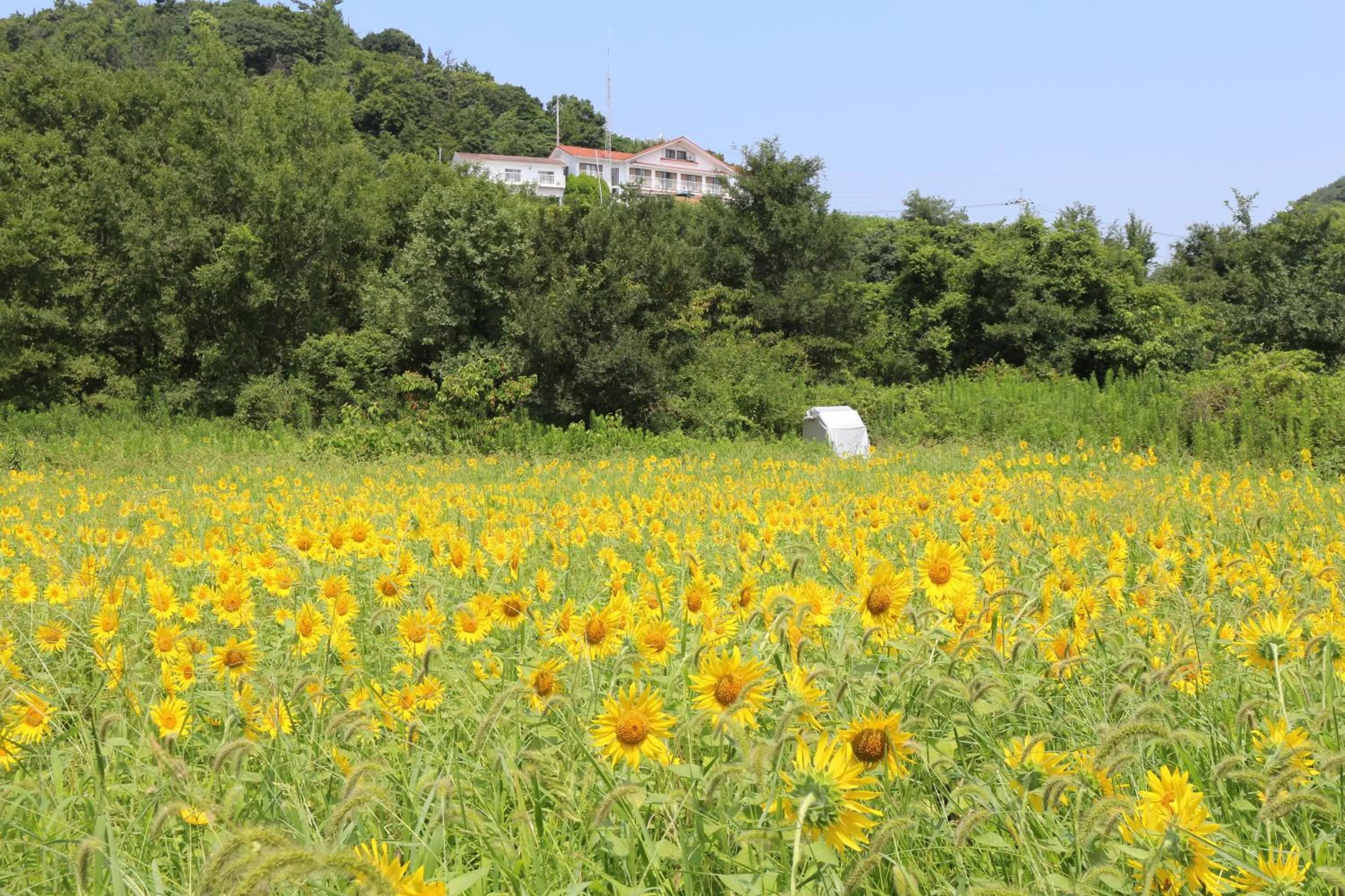 Pension KUROSHIOMARU