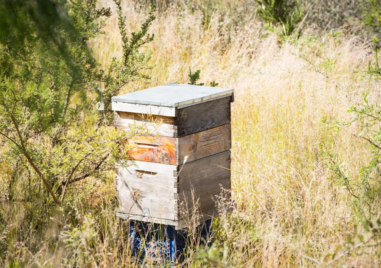 Off site in Casa Estrella de la Valenciana Hotel Boutique