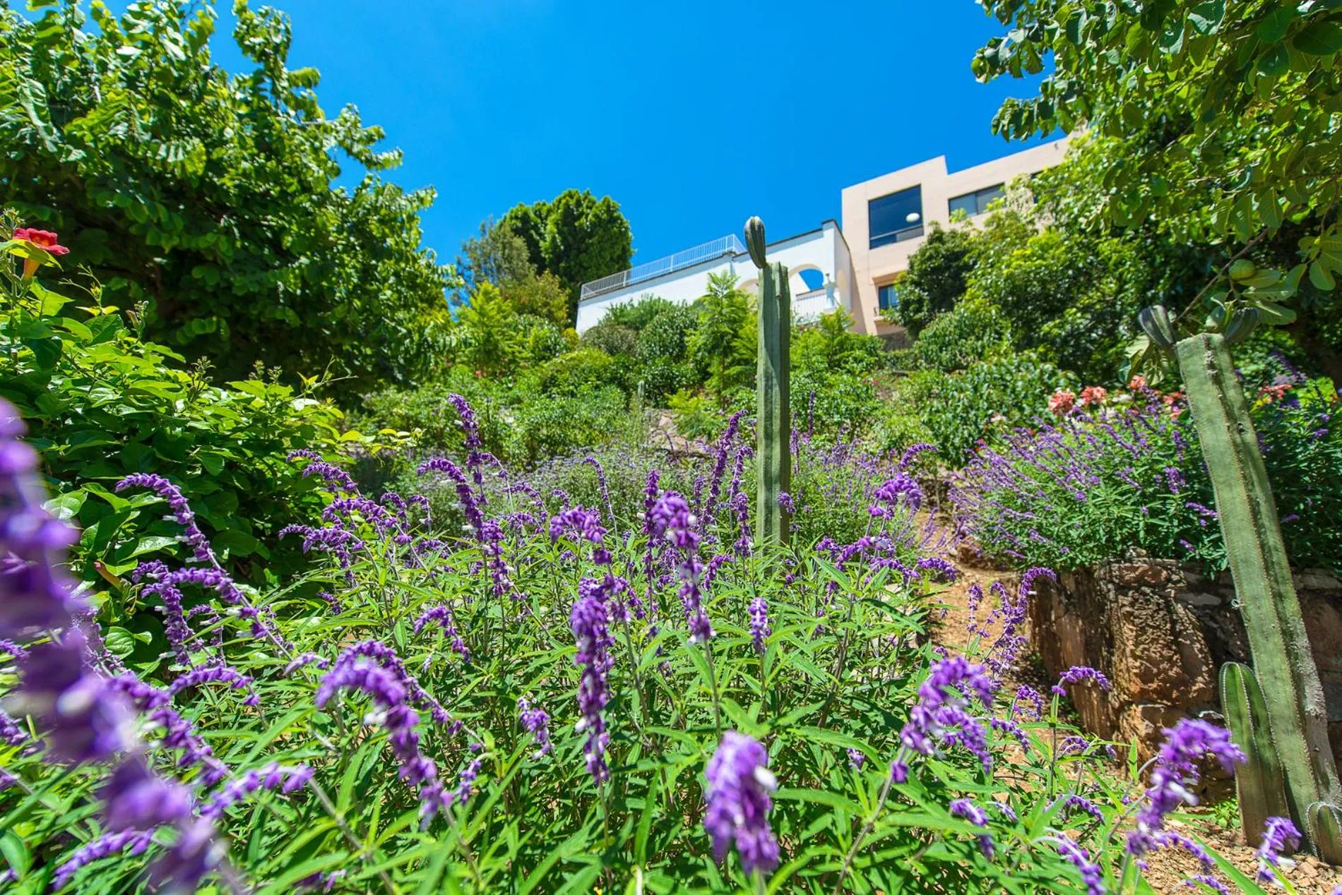 Natural landscape in Casa Estrella de la Valenciana Hotel Boutique
