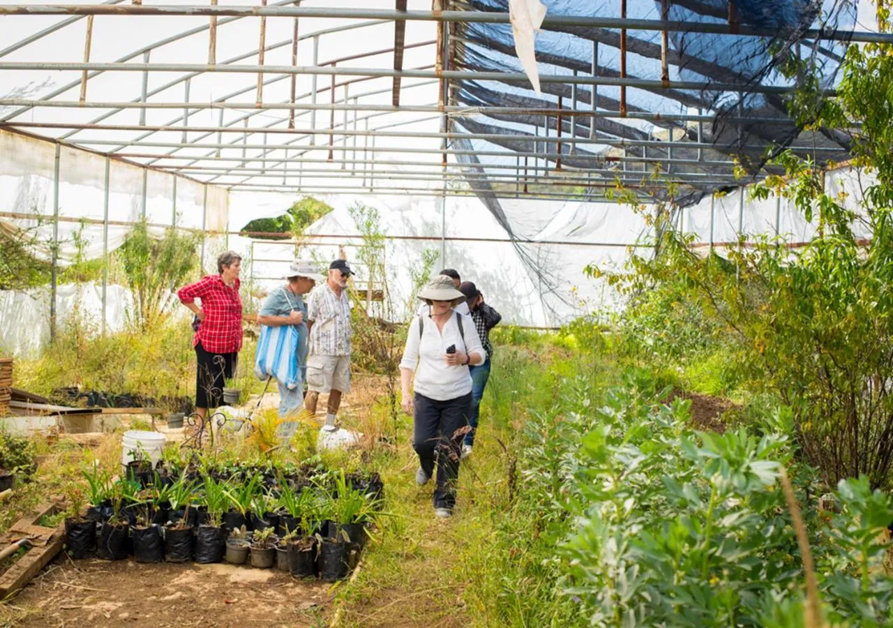 Off site in Casa Estrella de la Valenciana Hotel Boutique