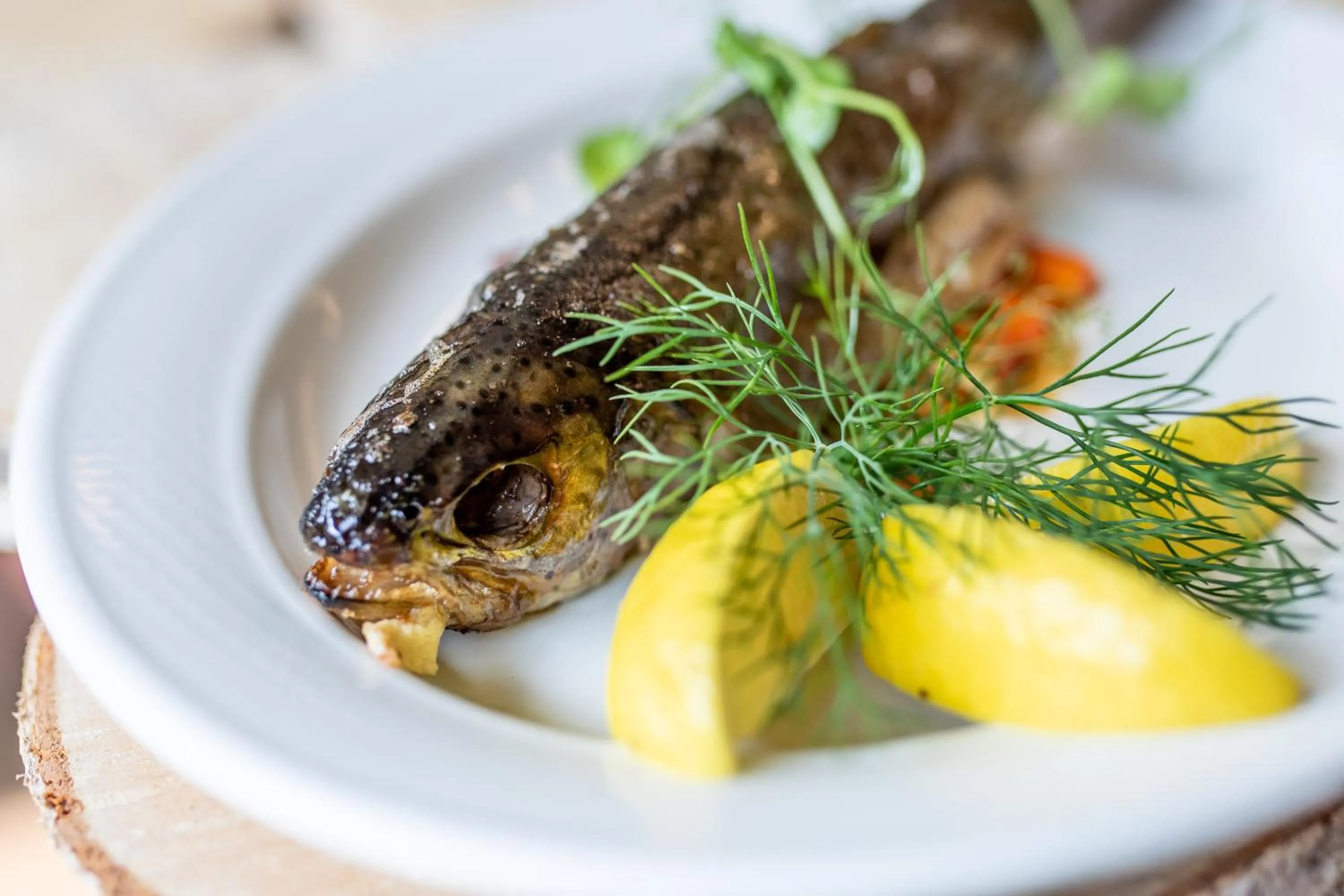 Food and drinks in Wierchomla Ski & Spa Resort