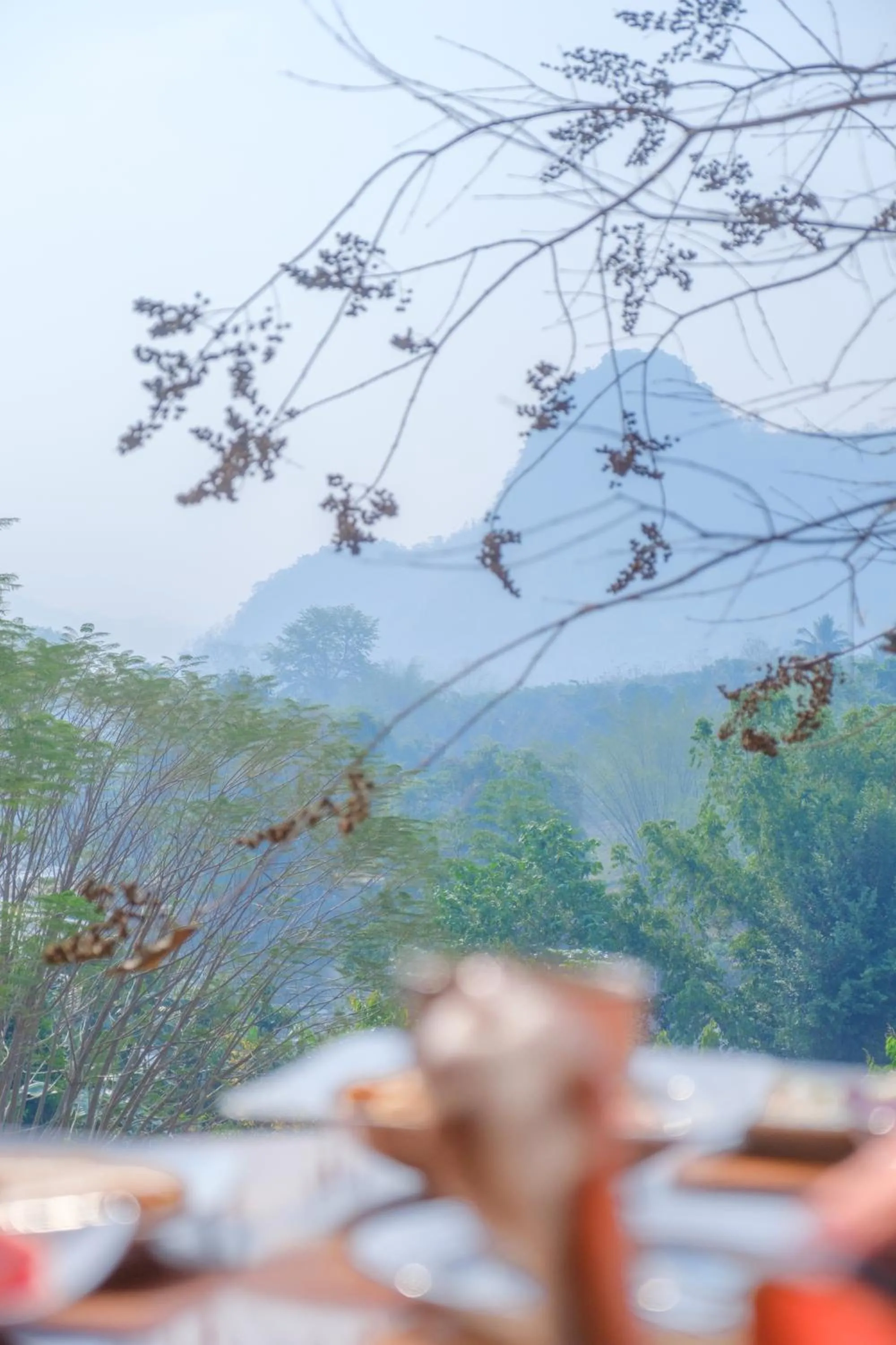 BaanRai KhunYa บ้านไร่คุณย่า