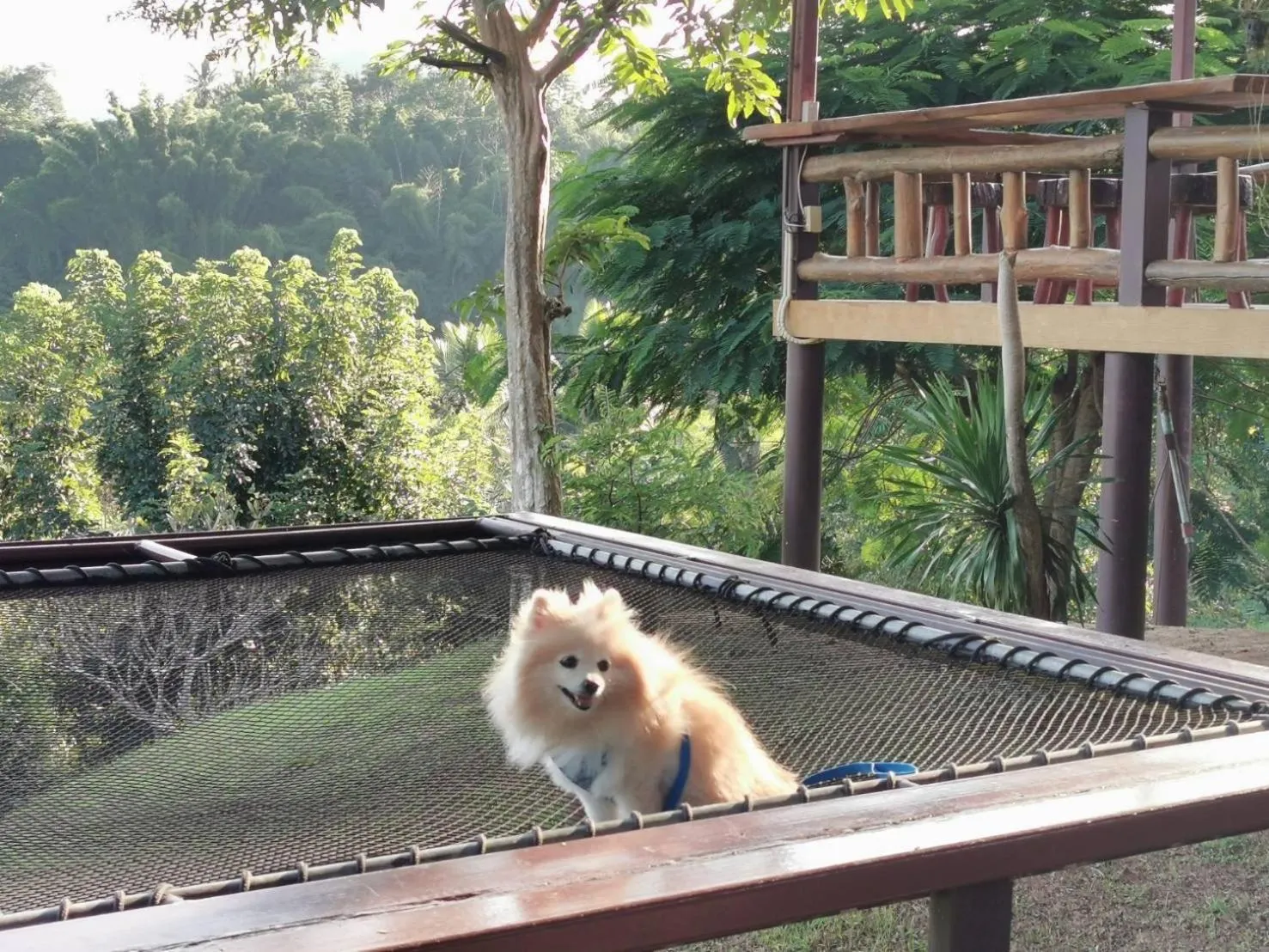 BaanRai KhunYa บ้านไร่คุณย่า