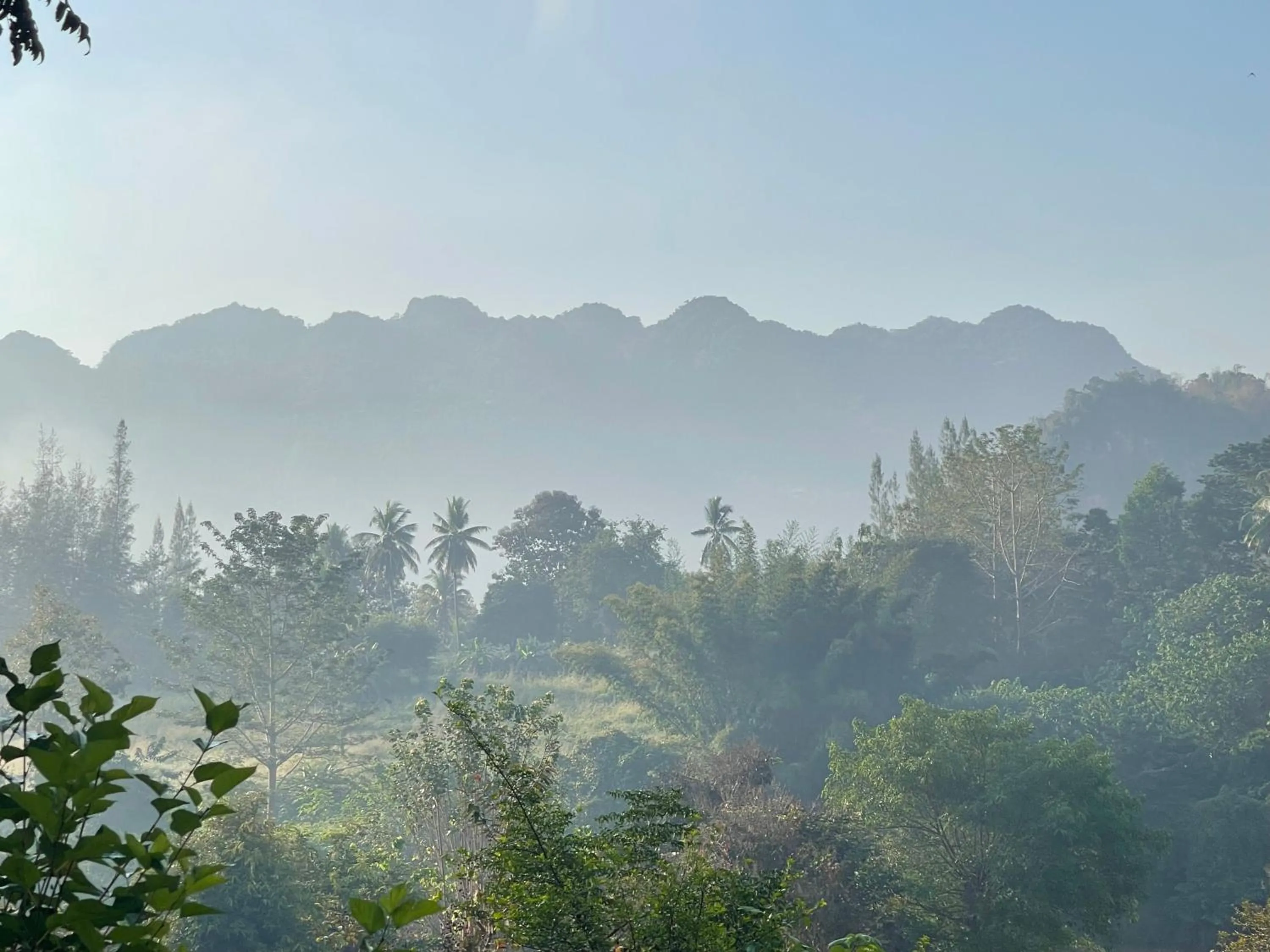 BaanRai KhunYa บ้านไร่คุณย่า