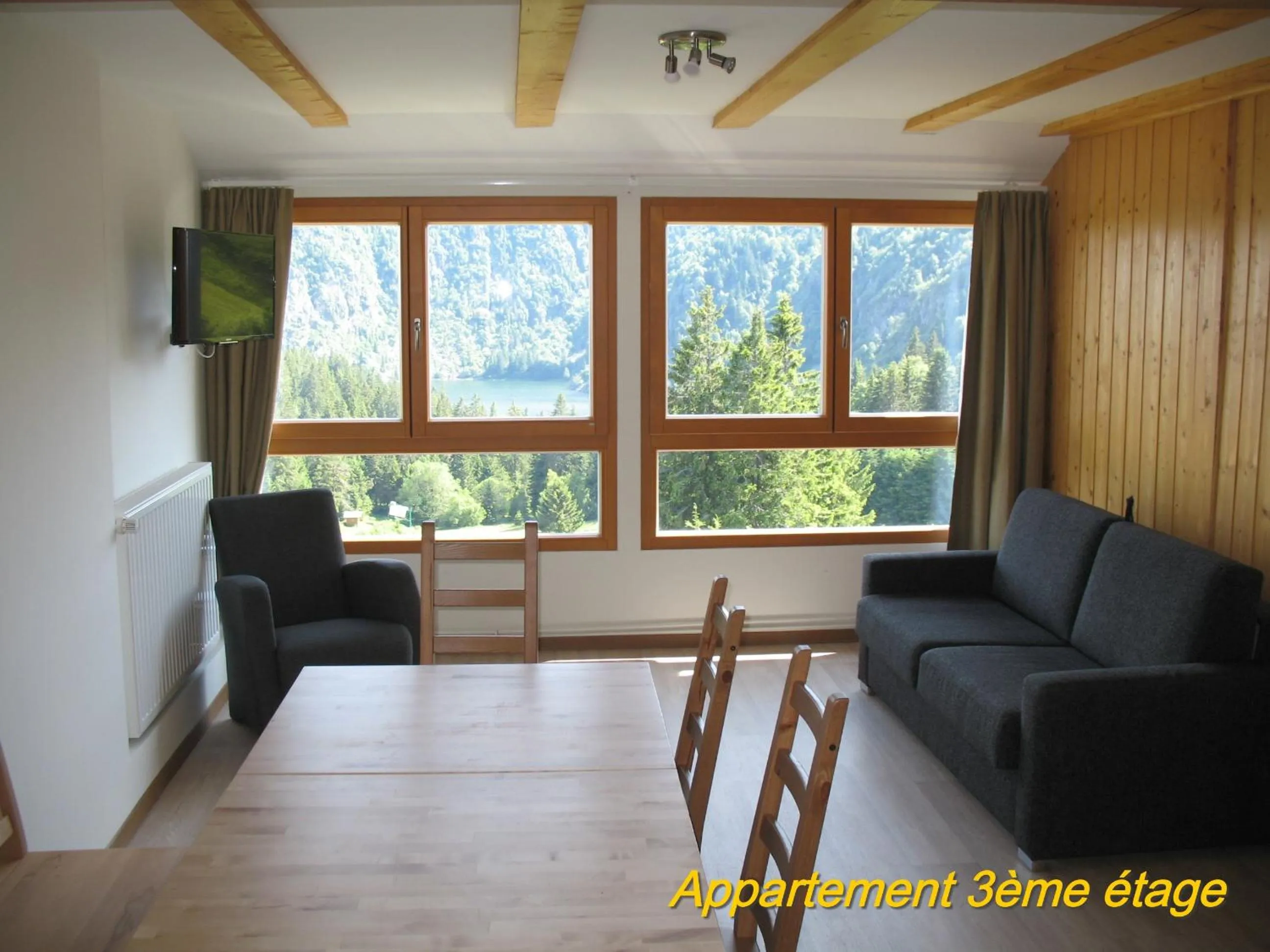 Living room in Les Terrasses du Lac Blanc - Studios & Appartements