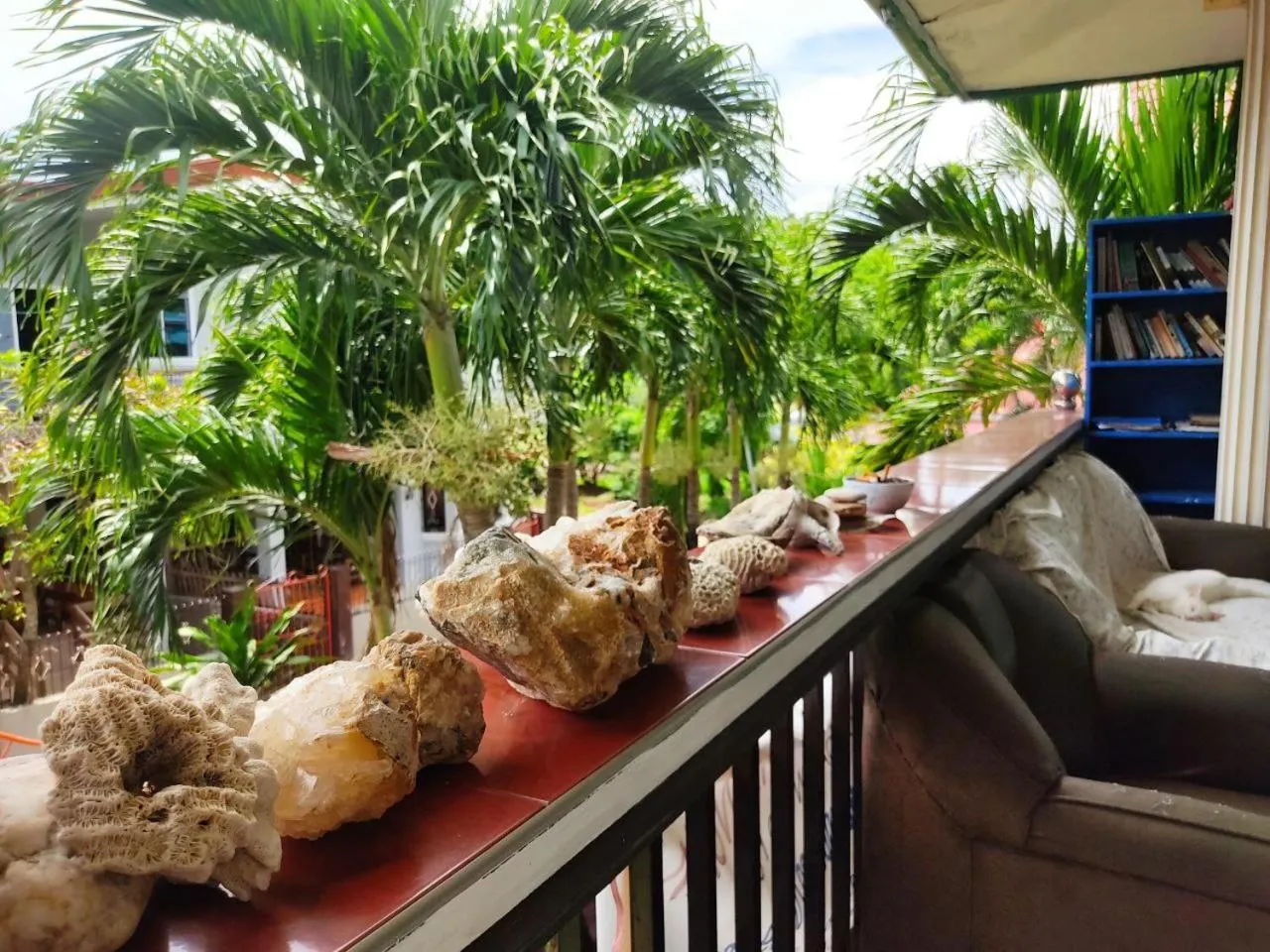 Day in Riverside at Aninuan Accommodation and Food