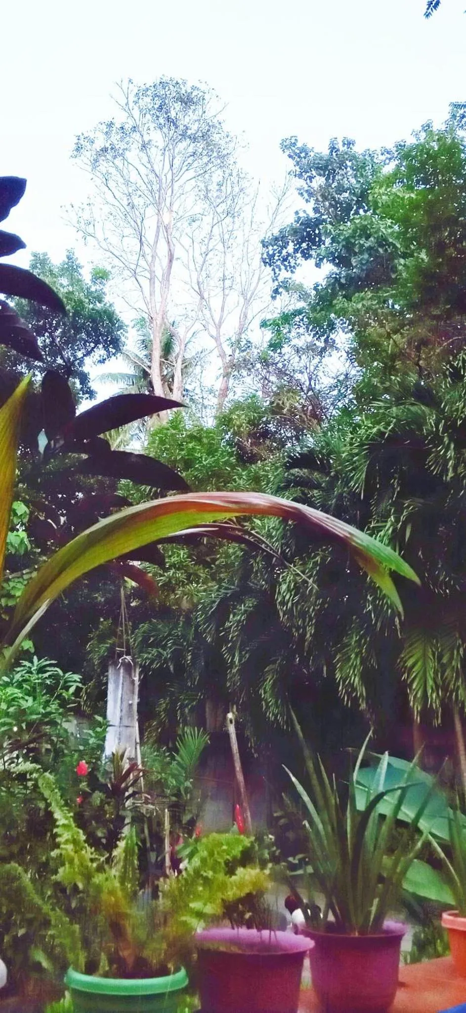 Natural landscape in Riverside at Aninuan Accommodation and Food