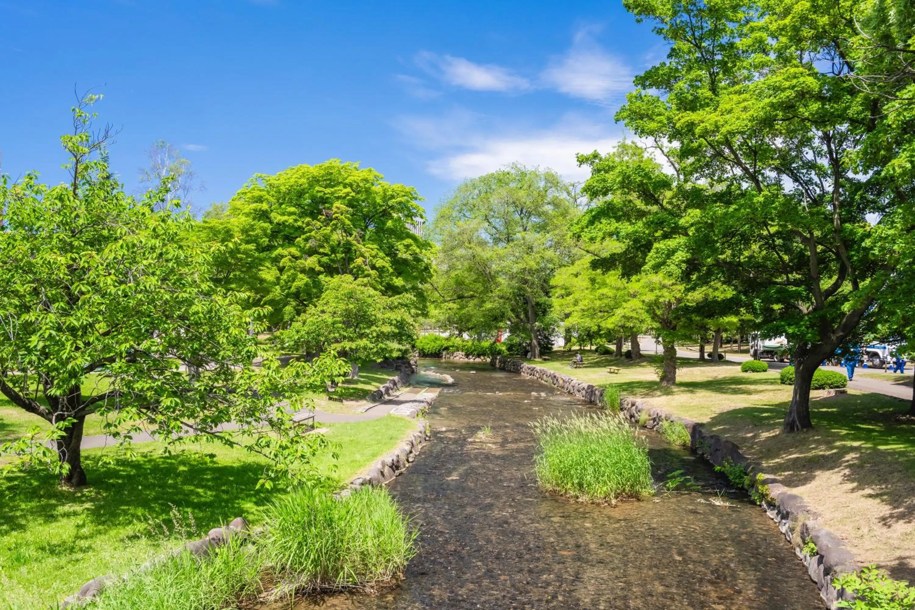Nearby landmark in HOTEL MYSTAYS Sapporo Nakajima Park